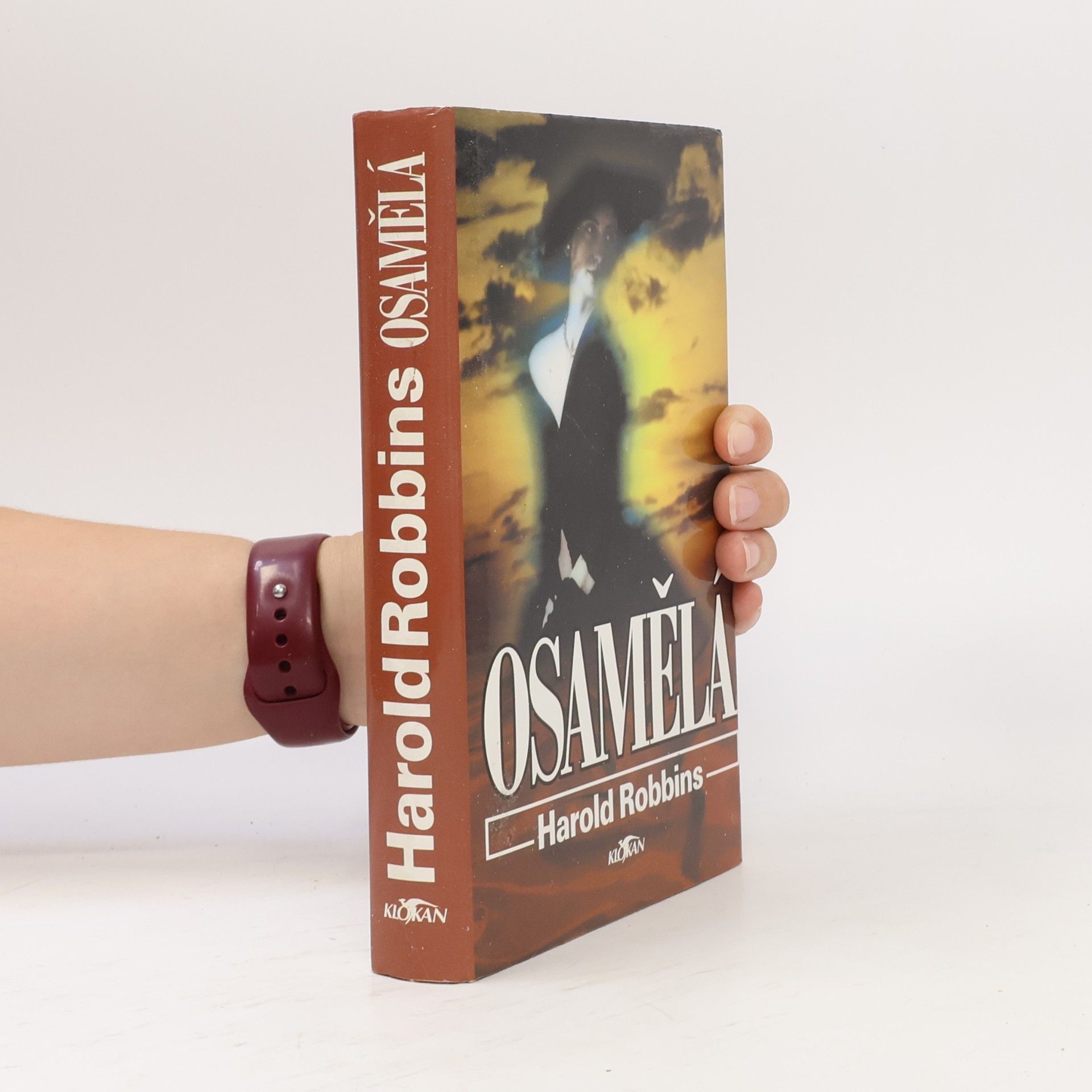 Harold Robbins Osamělá
