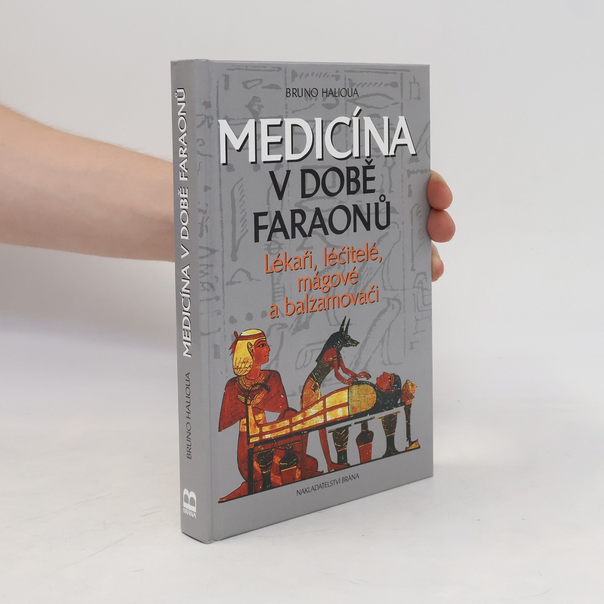 Medicína v době faraonů : lékaři, léčitelé, mágové a balzamovači