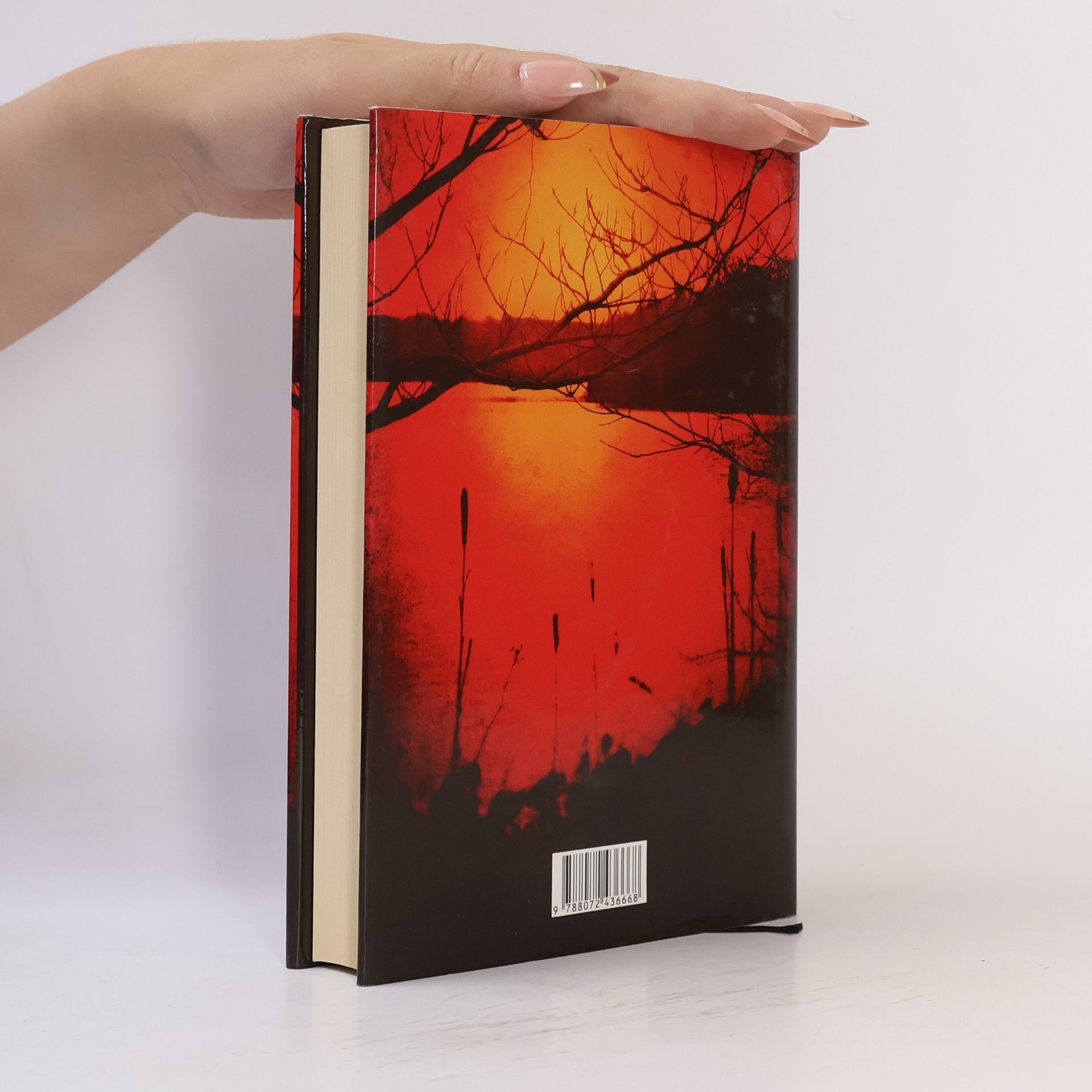 Joe R. Lansdale Břeh temné vody
