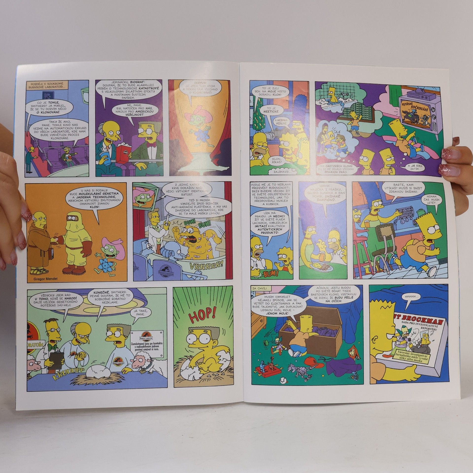 Kolektiv autorů Simpsonovi 10/2024