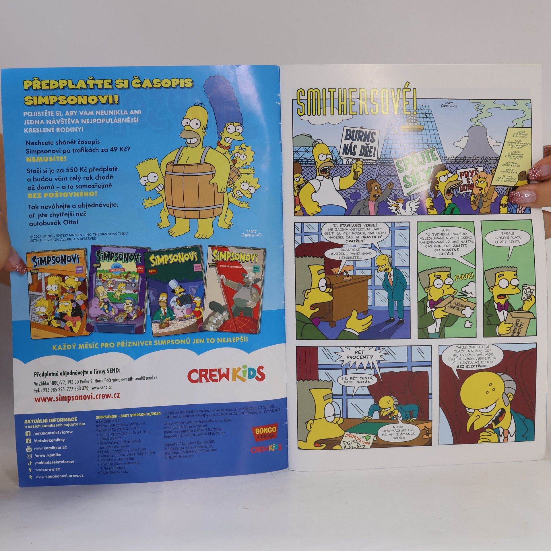 Kolektiv autorů Simpsonovi 10/2024