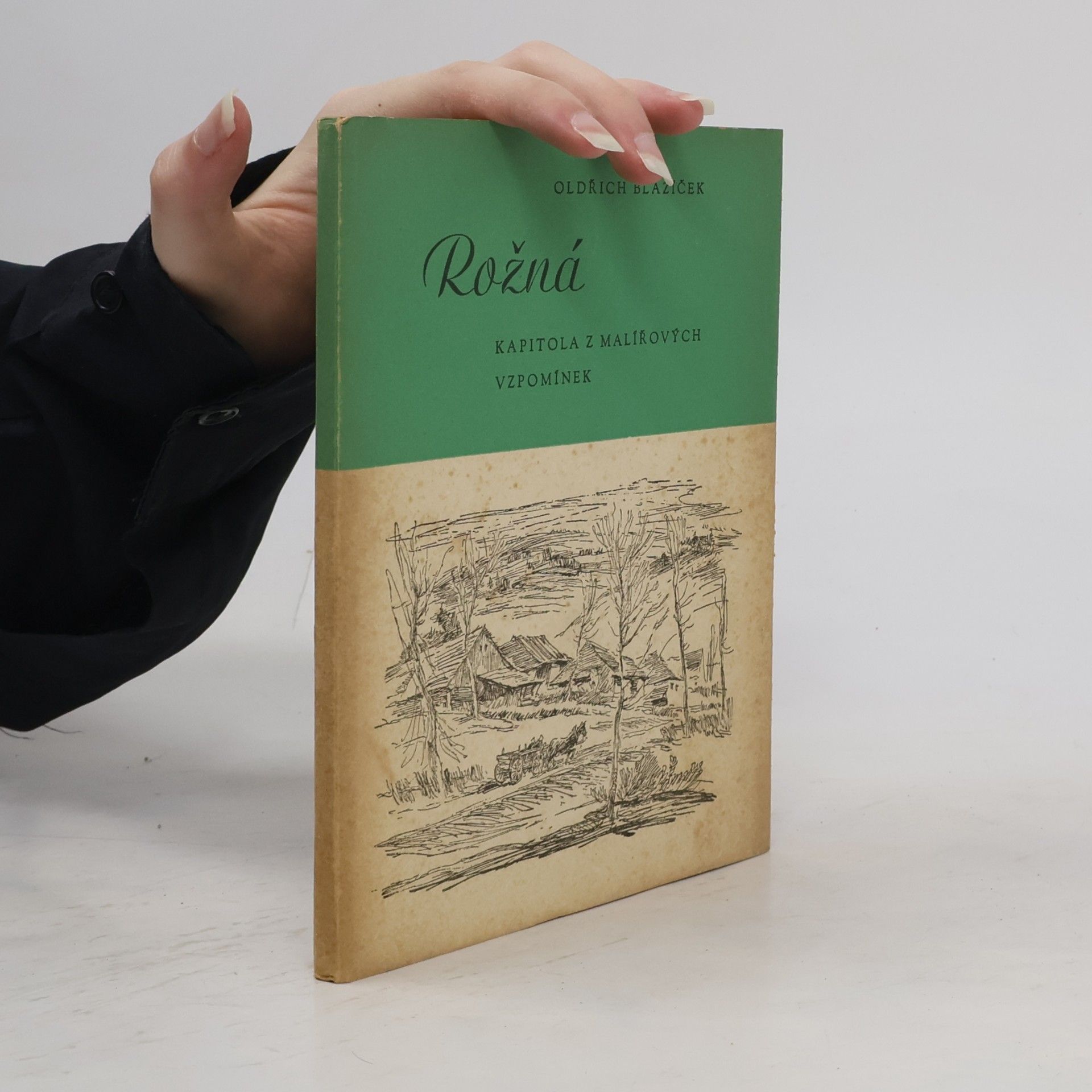 Oldřich Blažíček Rožná. Kapitola z malířových vzpomínek