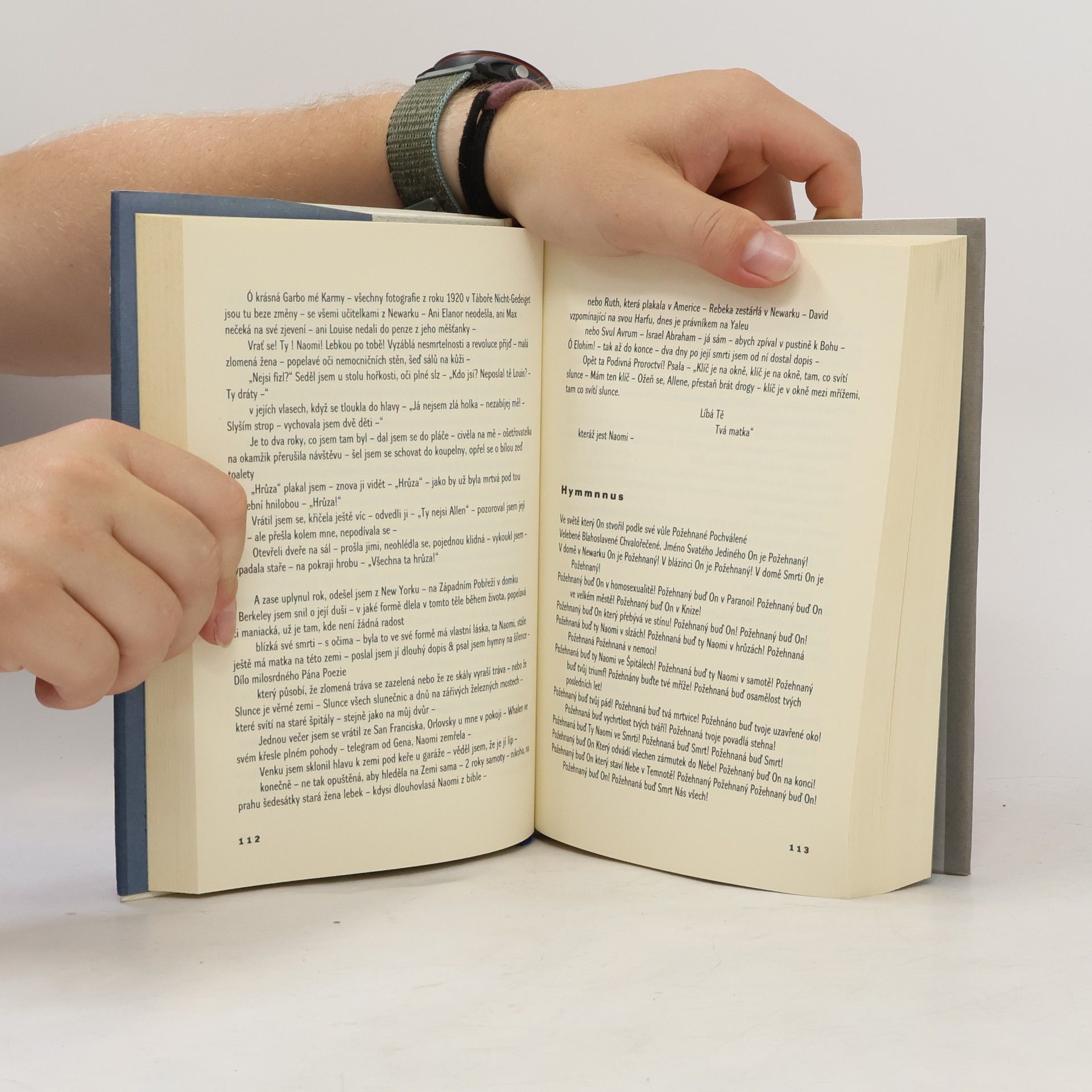 Allen Ginsberg Neposílejte mi už žádné dopisy