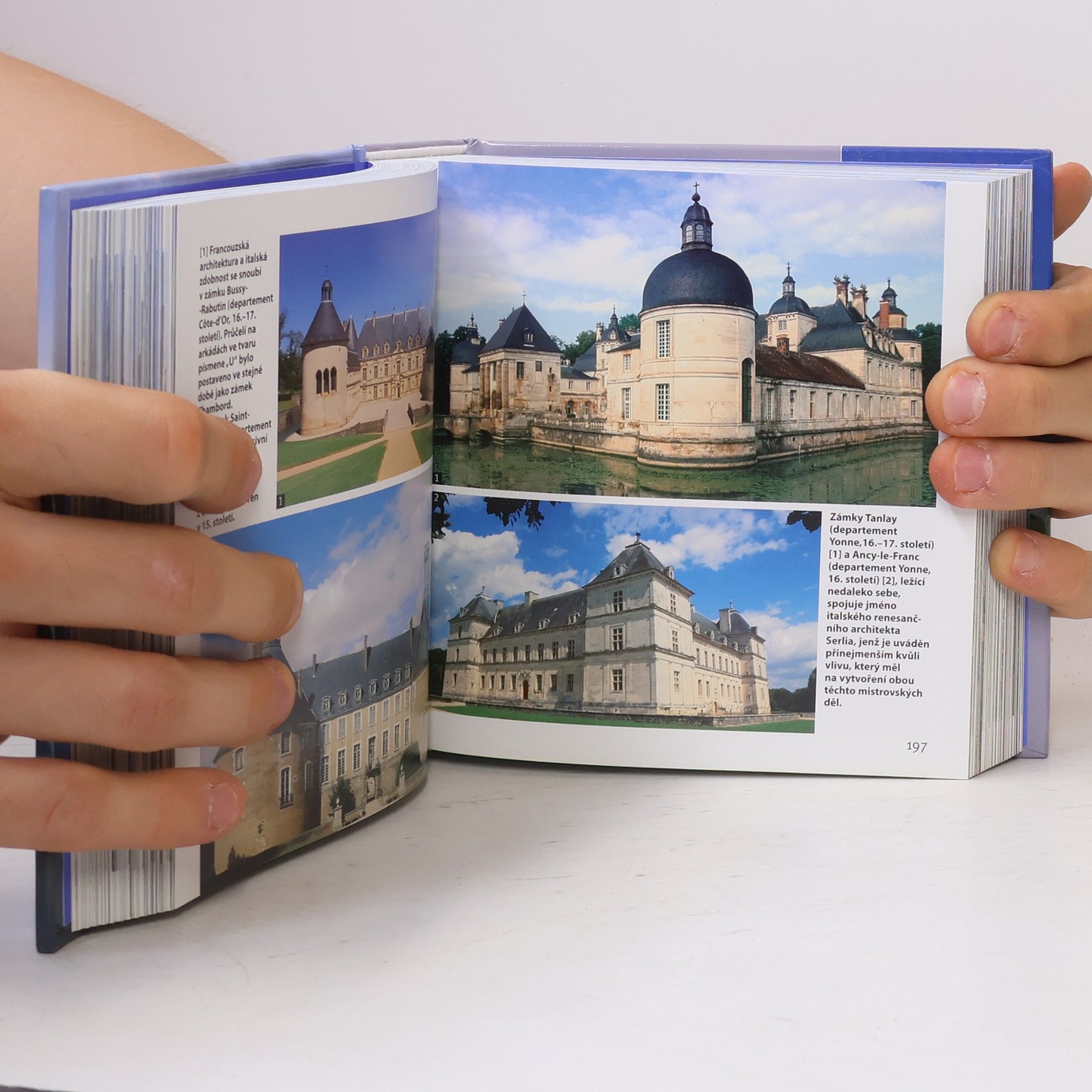 Françoise Bayle Hrady, zámky, paláce: 1001 fotografií