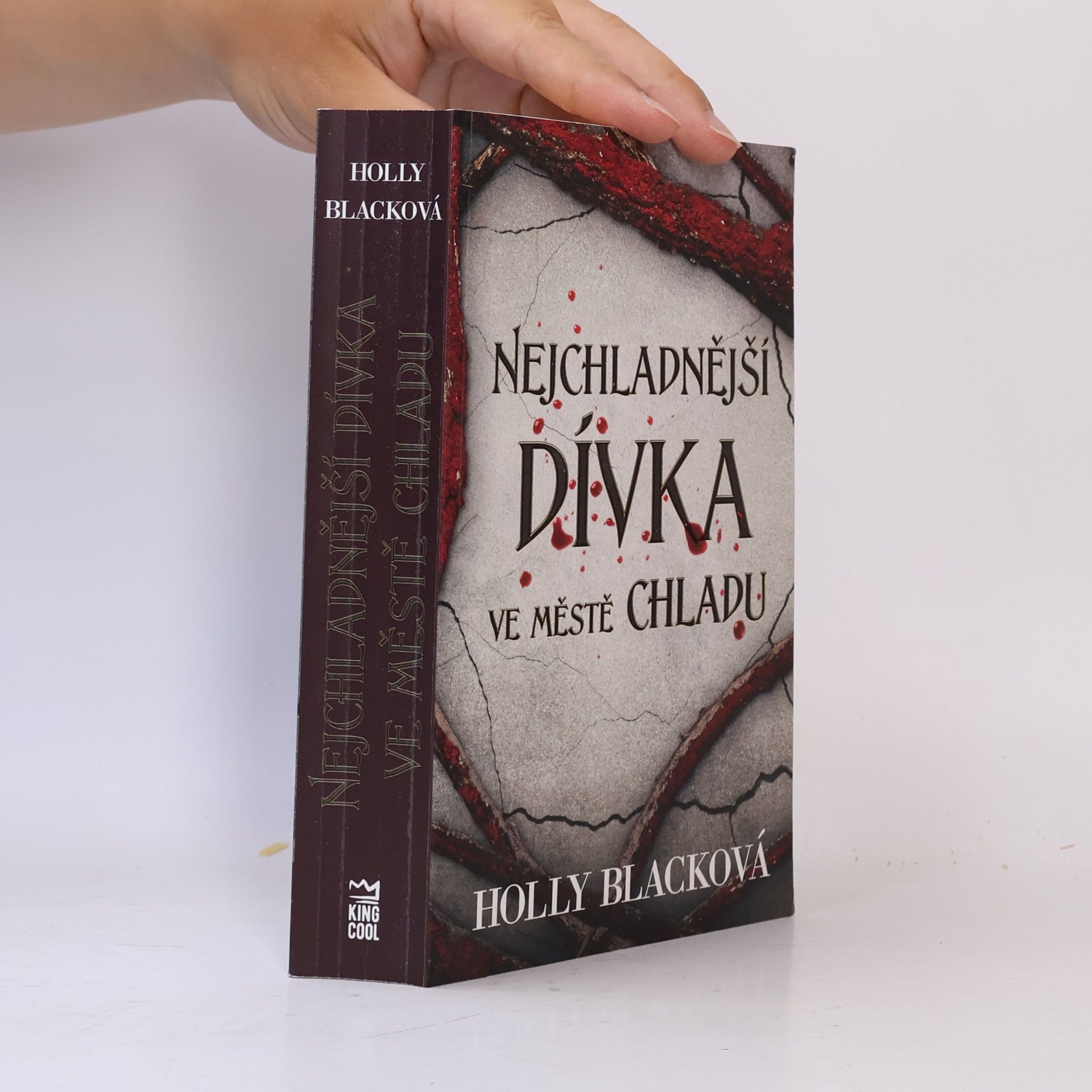 Holly Black Nejchladnější dívka ve městě chladu