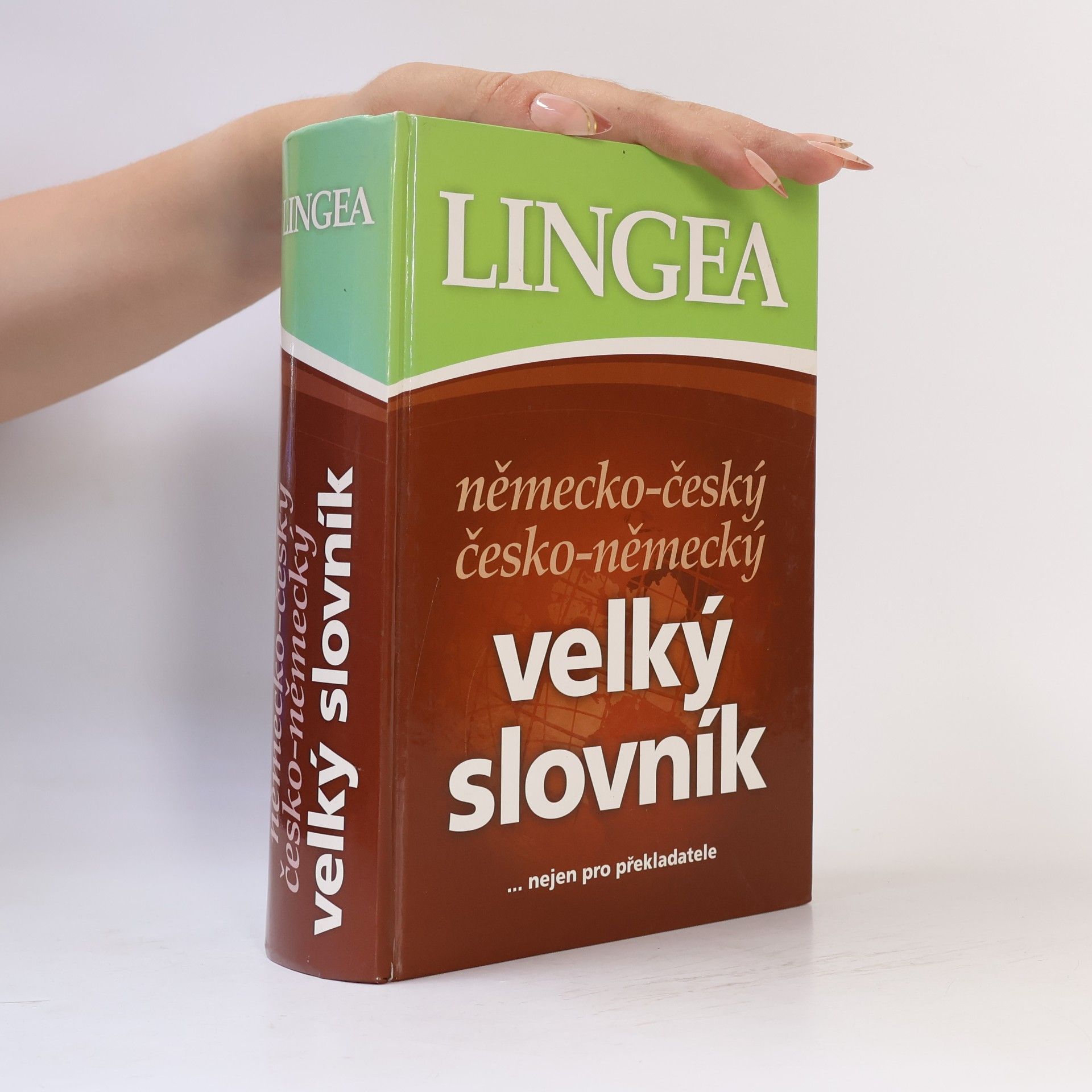 Autorenkollektiv Německo-český česko-německý velký slovník