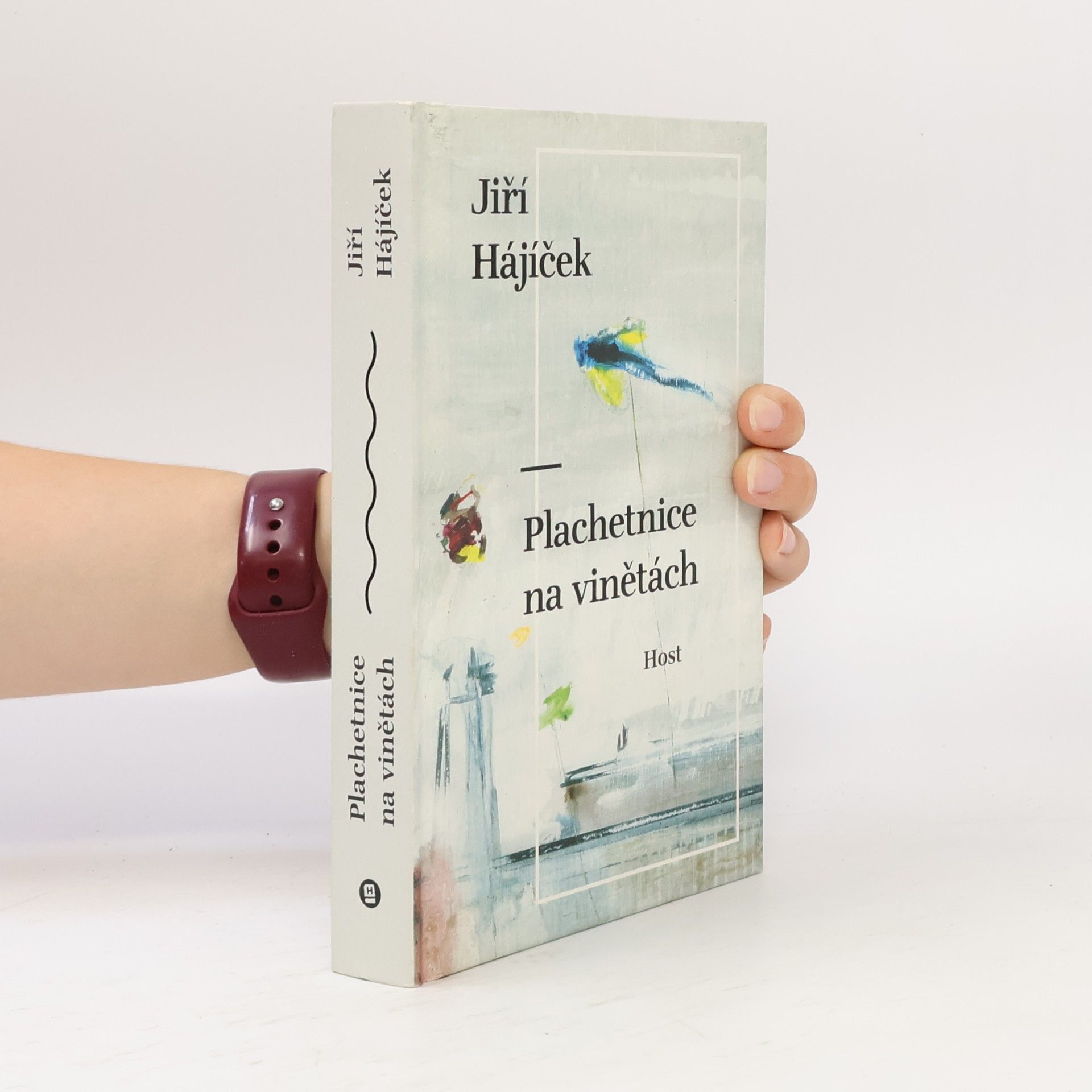 Jiří Hájíček Plachetnice na vinětách