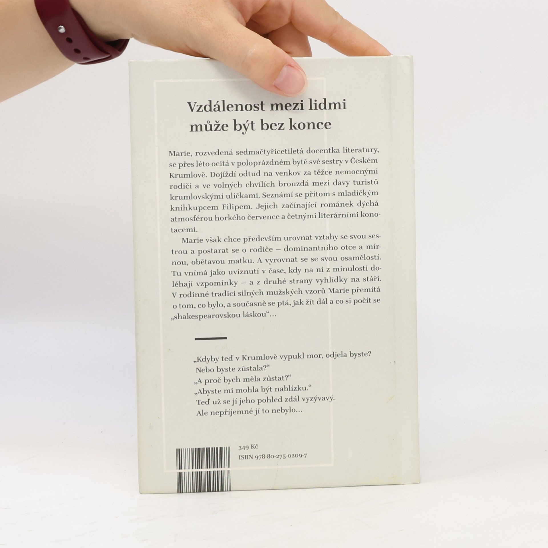 Jiří Hájíček Plachetnice na vinětách