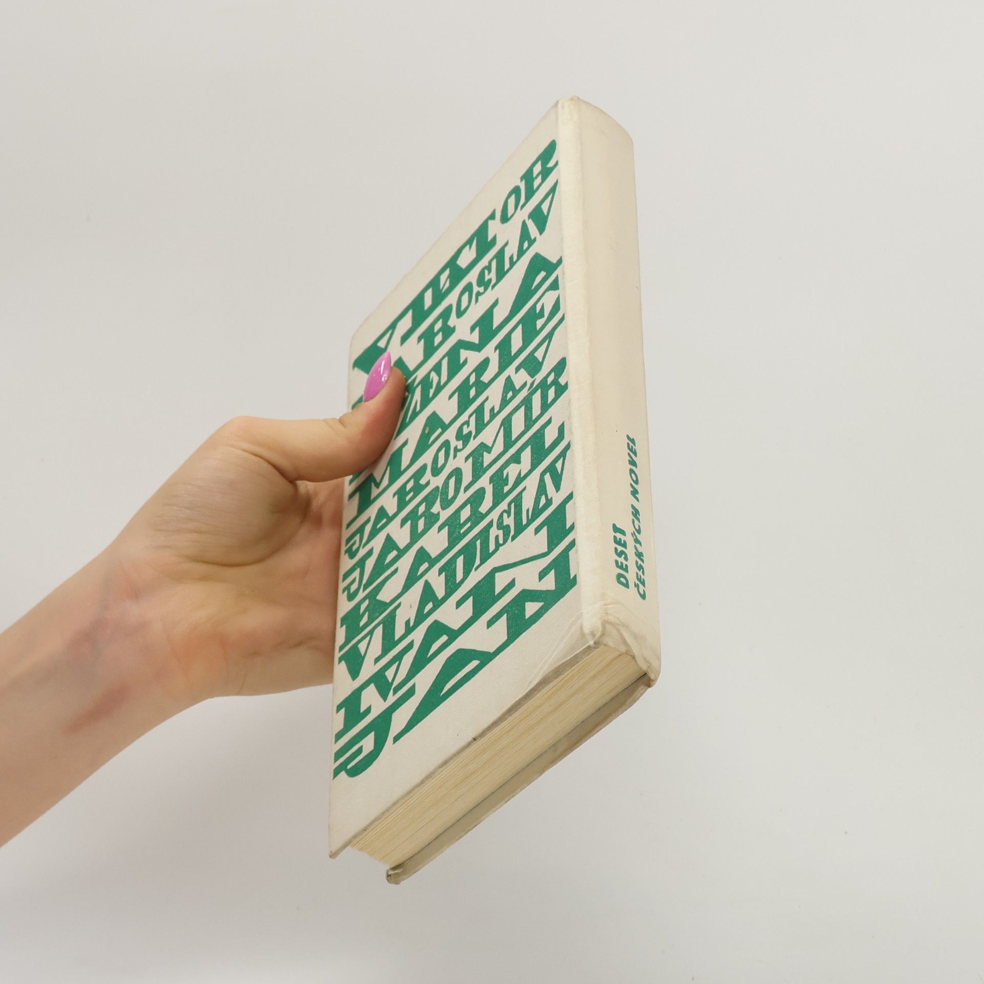Kolektiv autorů Deset českých novel