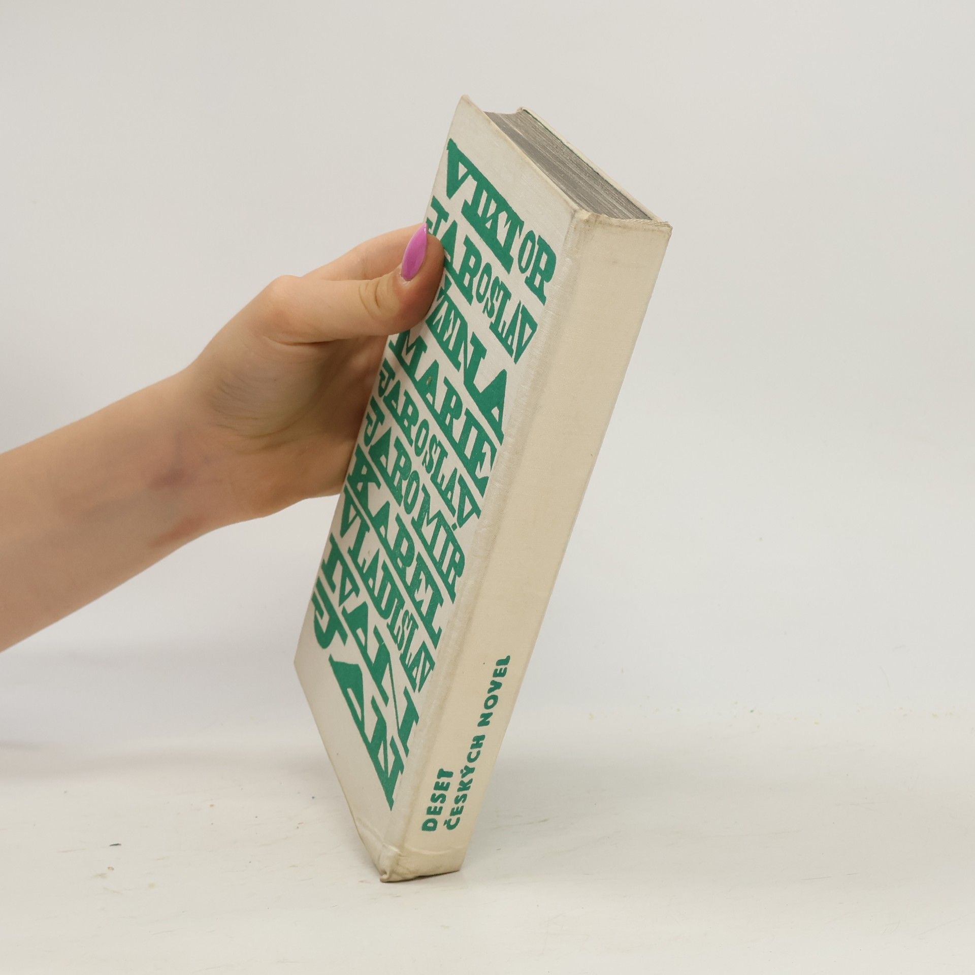 Kolektiv autorů Deset českých novel
