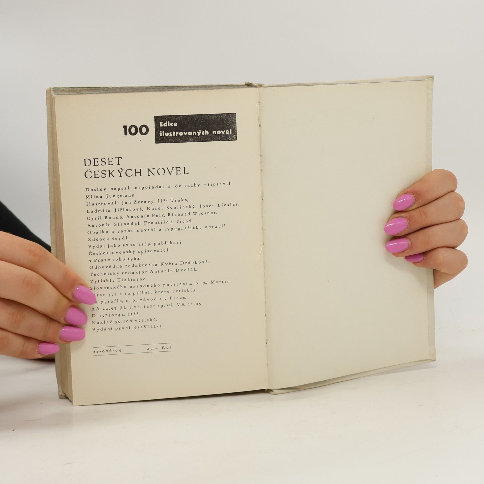 Kolektiv autorů Deset českých novel