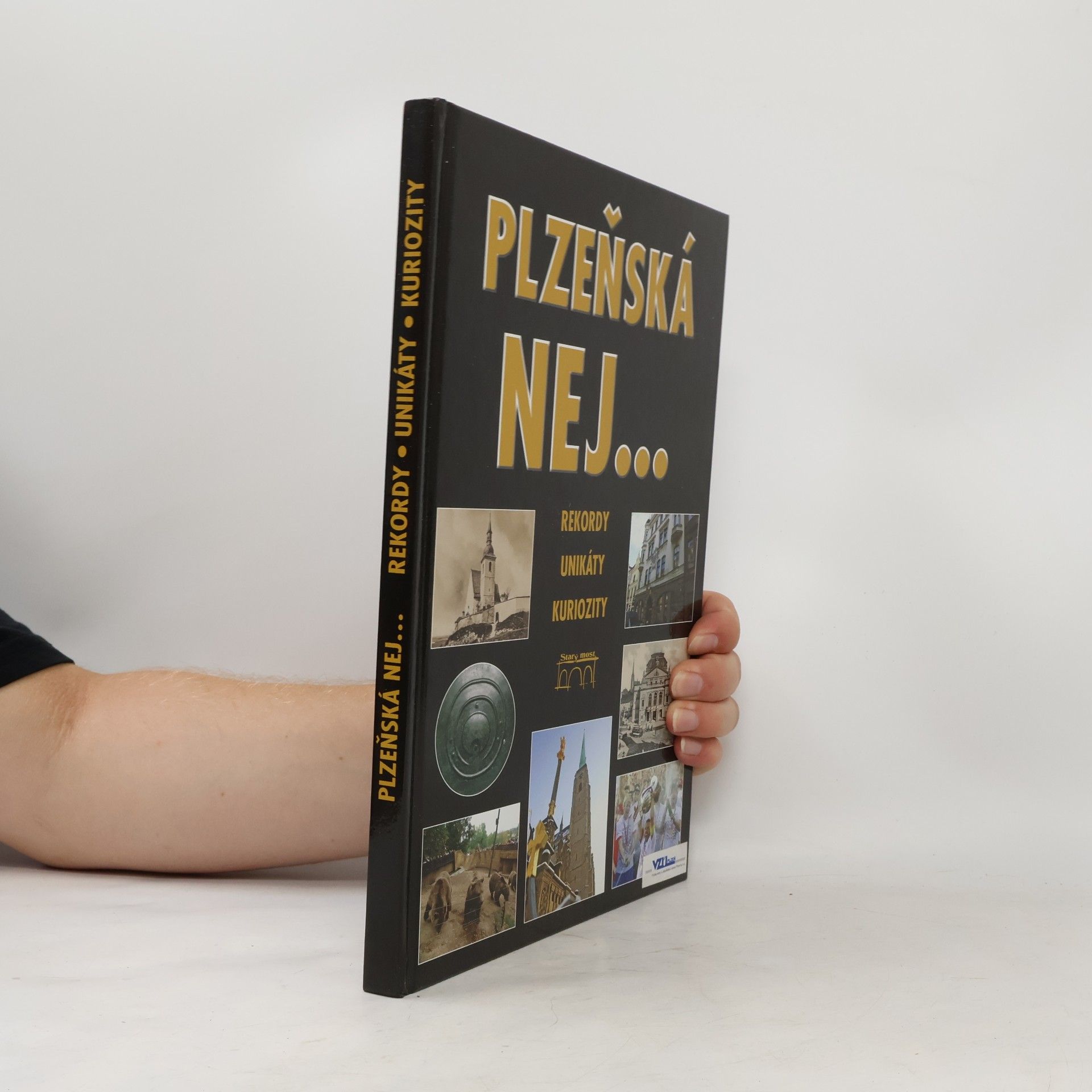 Petr Flachs Plzeňská nej…