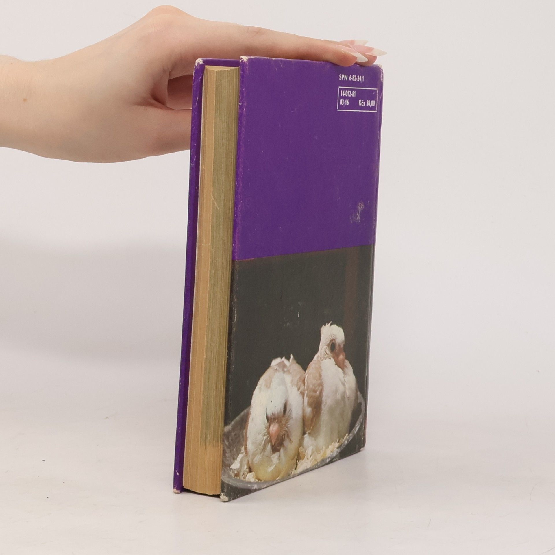 Zdeněk Veger Kapesní atlas okrasných ptáků
