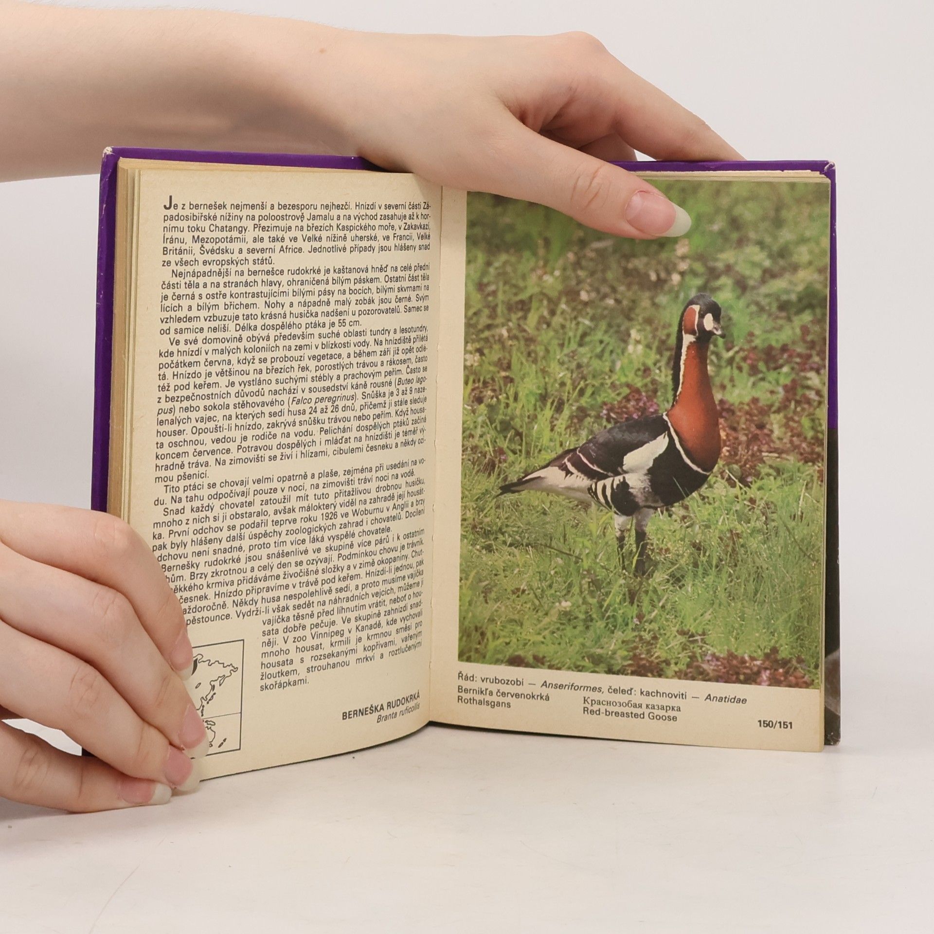 Zdeněk Veger Kapesní atlas okrasných ptáků