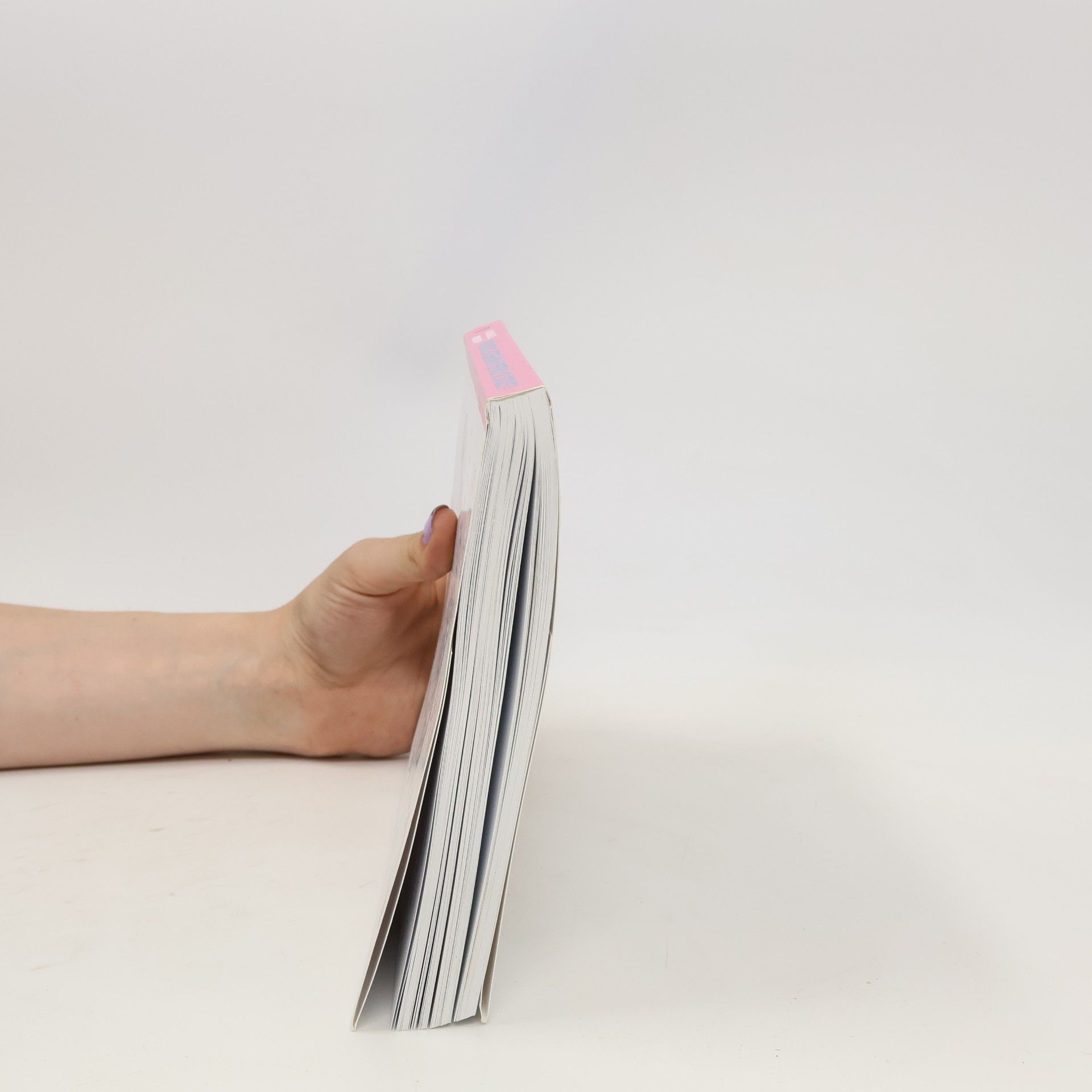 Karolína Meixnerová Průvodce literární hysterií 19. století