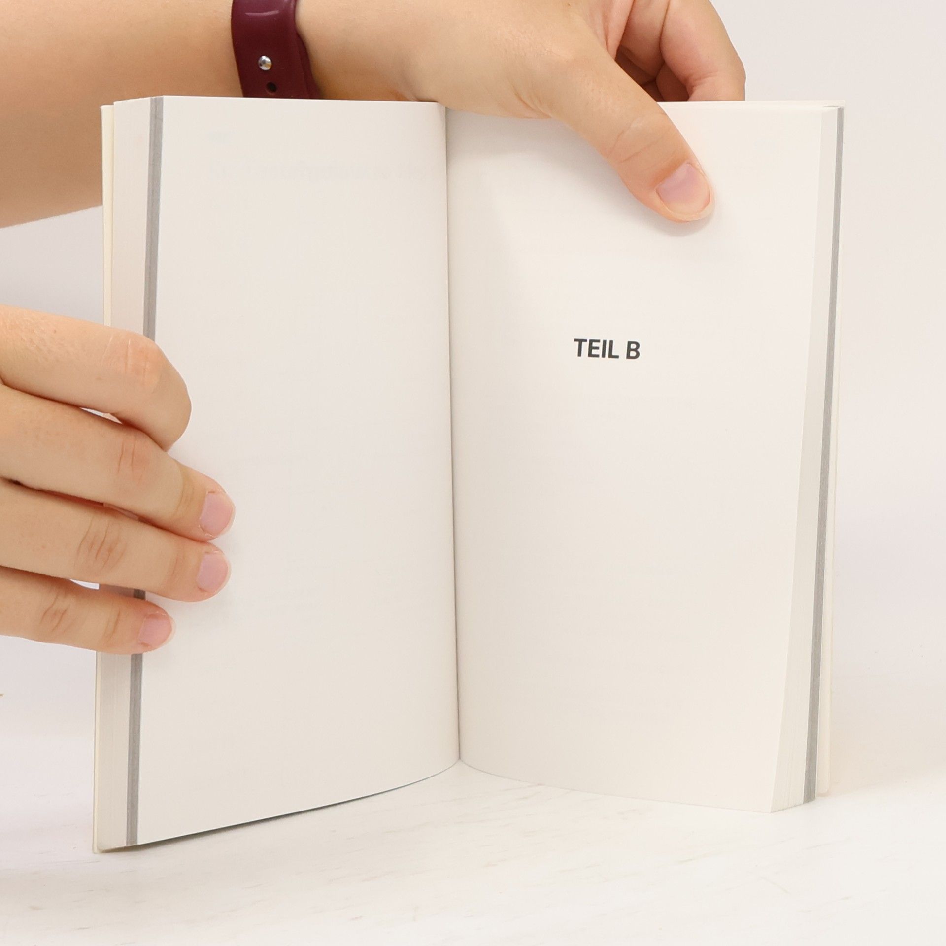 Marianne Zingel Teste dein Deutsch!. 2. stufe, Ein Testbuch fuer Fortgeschrittene