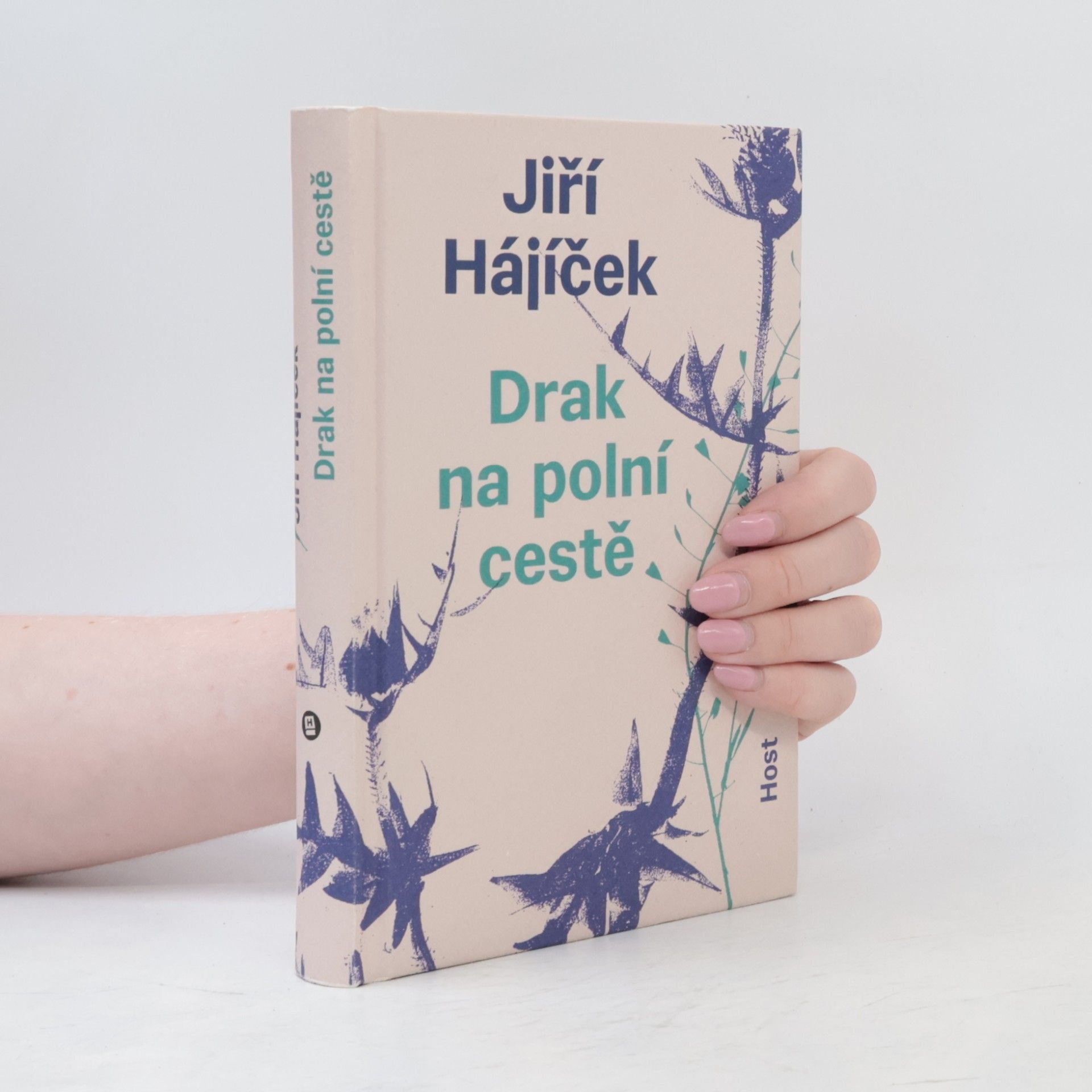 Jiří Hájíček Drak na polní cestě