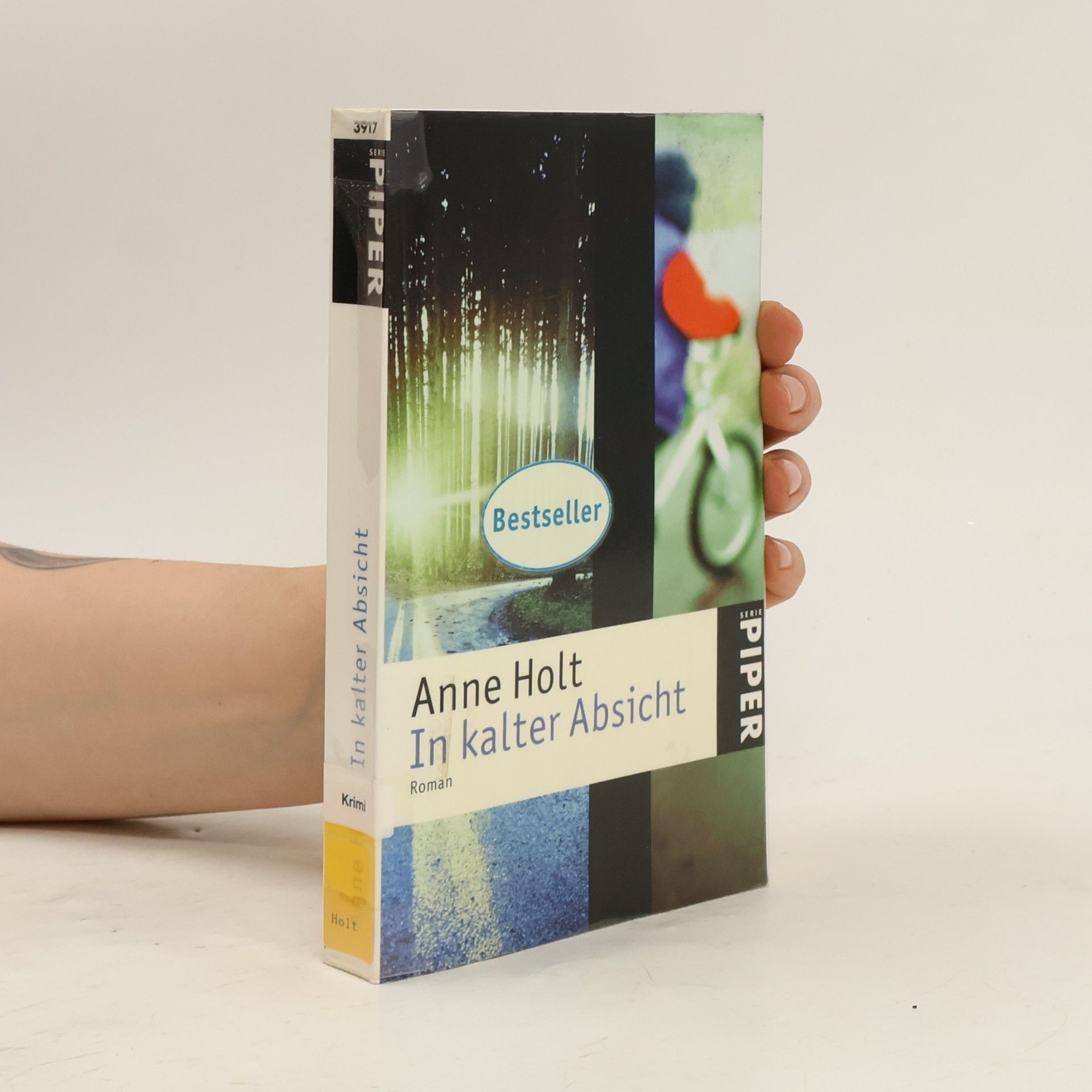 Anne Holt In kalter Absicht