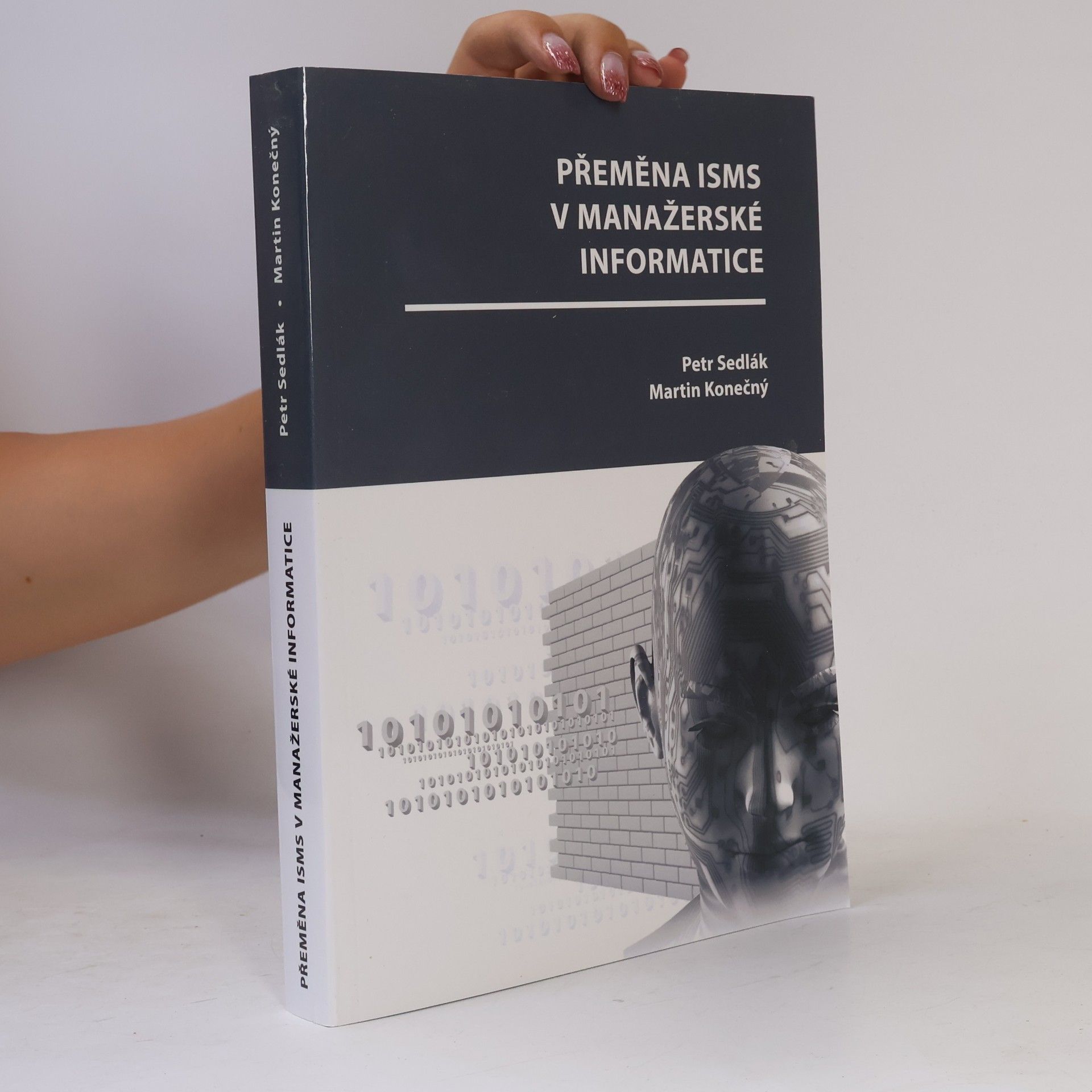 Přeměna ISMS v manažerské informatice