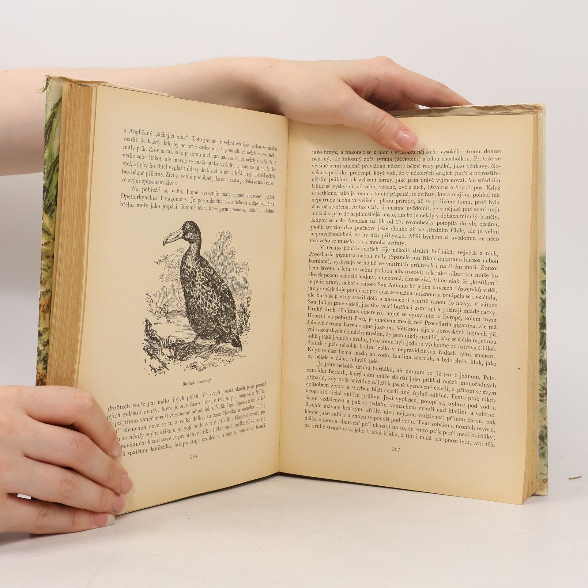 Charles Darwin Cesta kolem světa