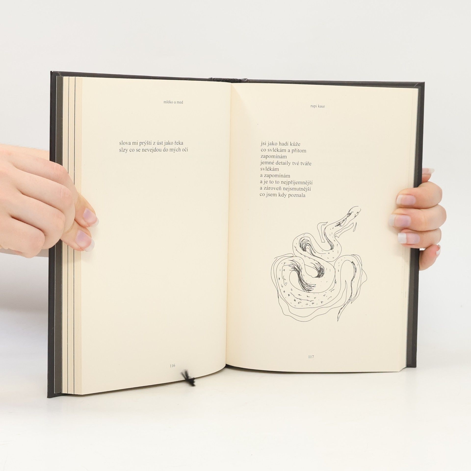 Rupi Kaur Mléko a med