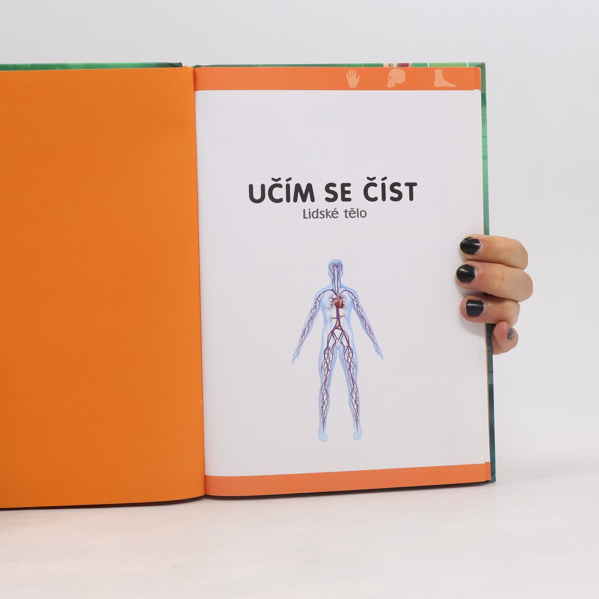 Autorenkollektiv Učím sa čítať: Ľudské telo