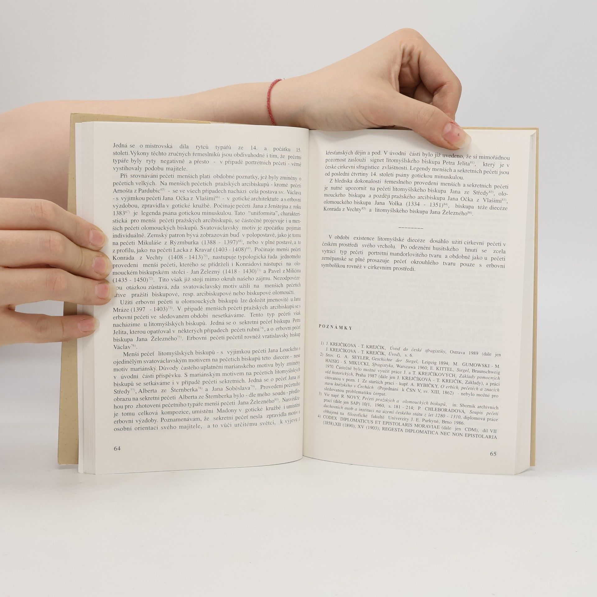 Kolektiv autorů Litomyšl. Duchovní tvář českého města