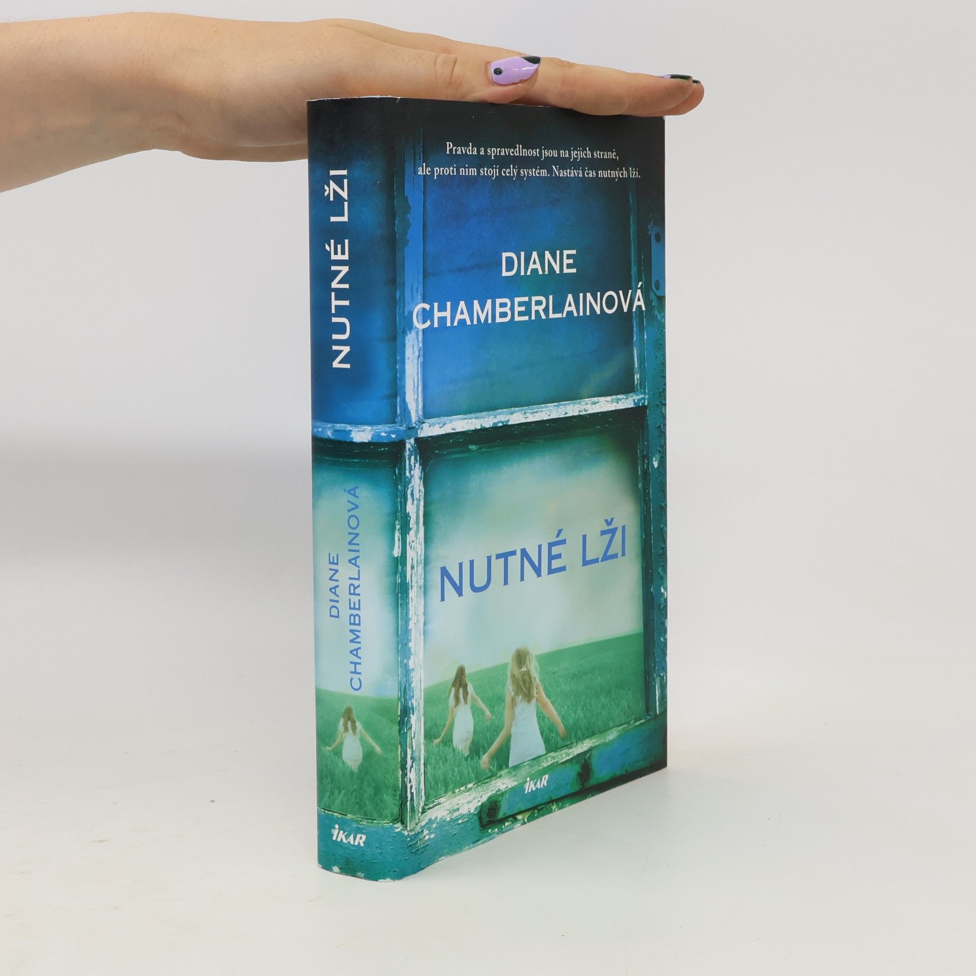 Diane Chamberlain Nutné lži