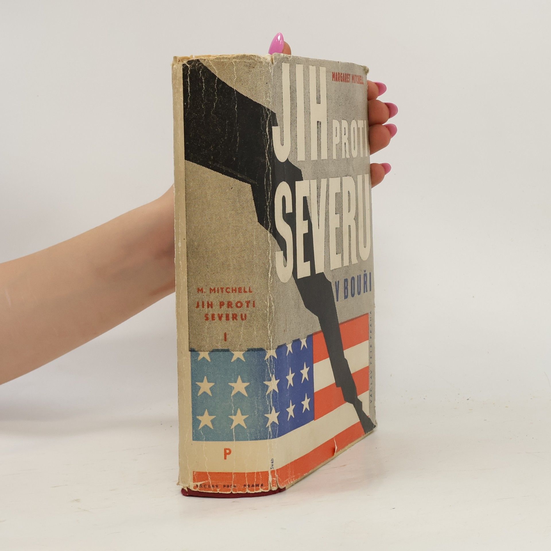 Margaret Mitchell Jih proti severu I. díl