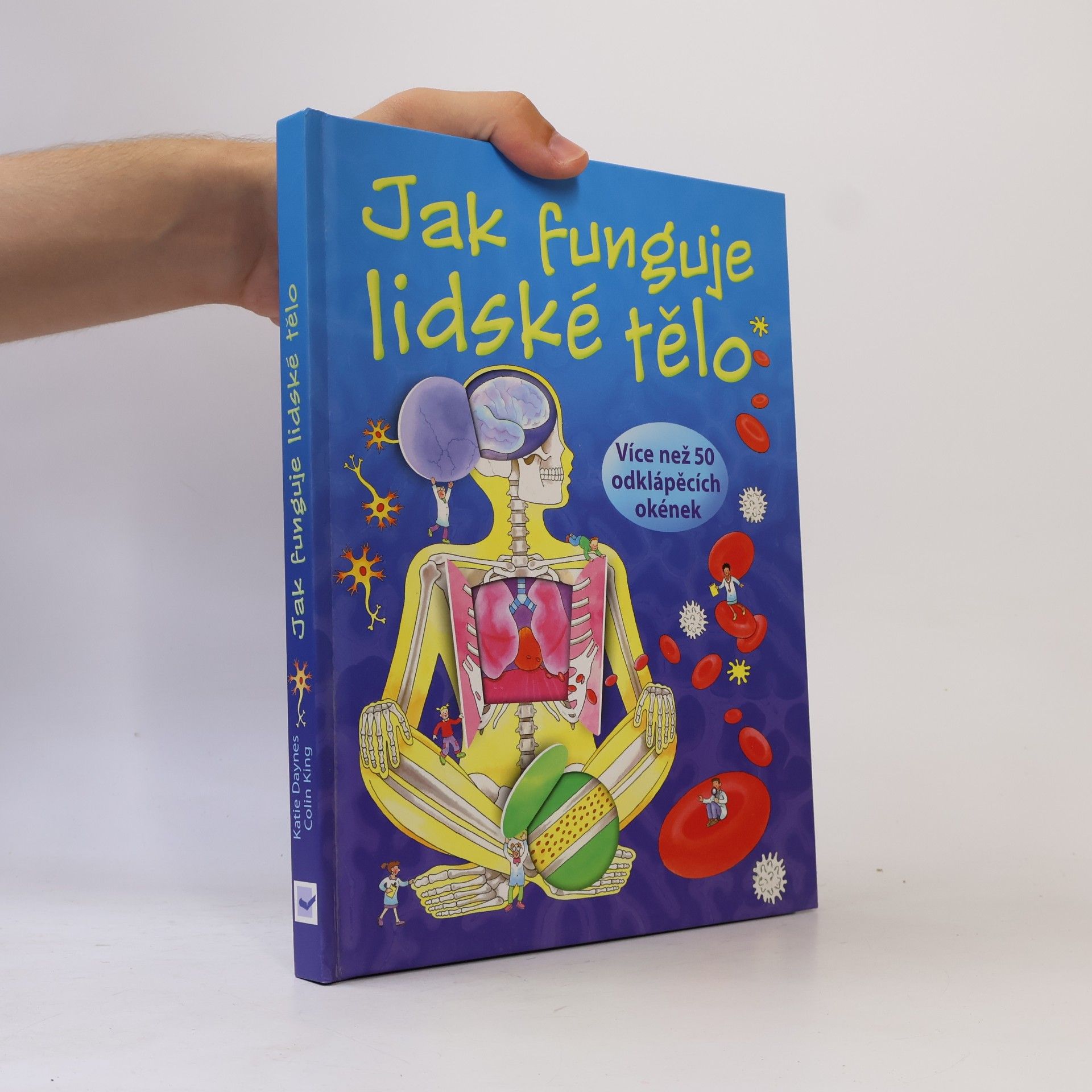 Katie Daynes Jak funguje lidské tělo
