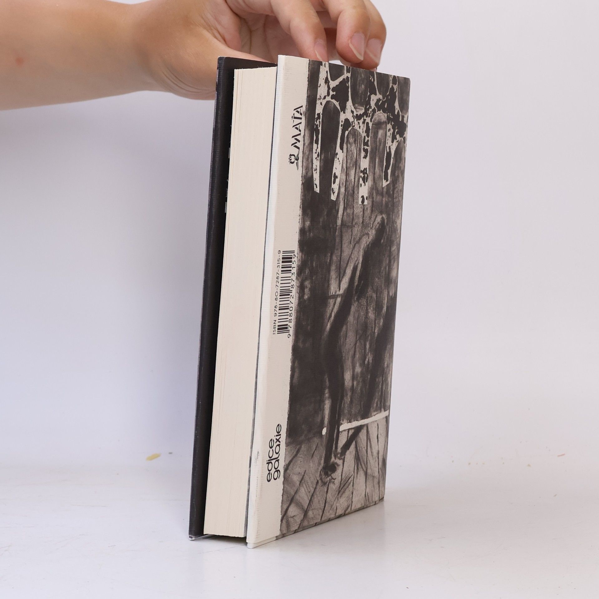 Franz Kafka Proces