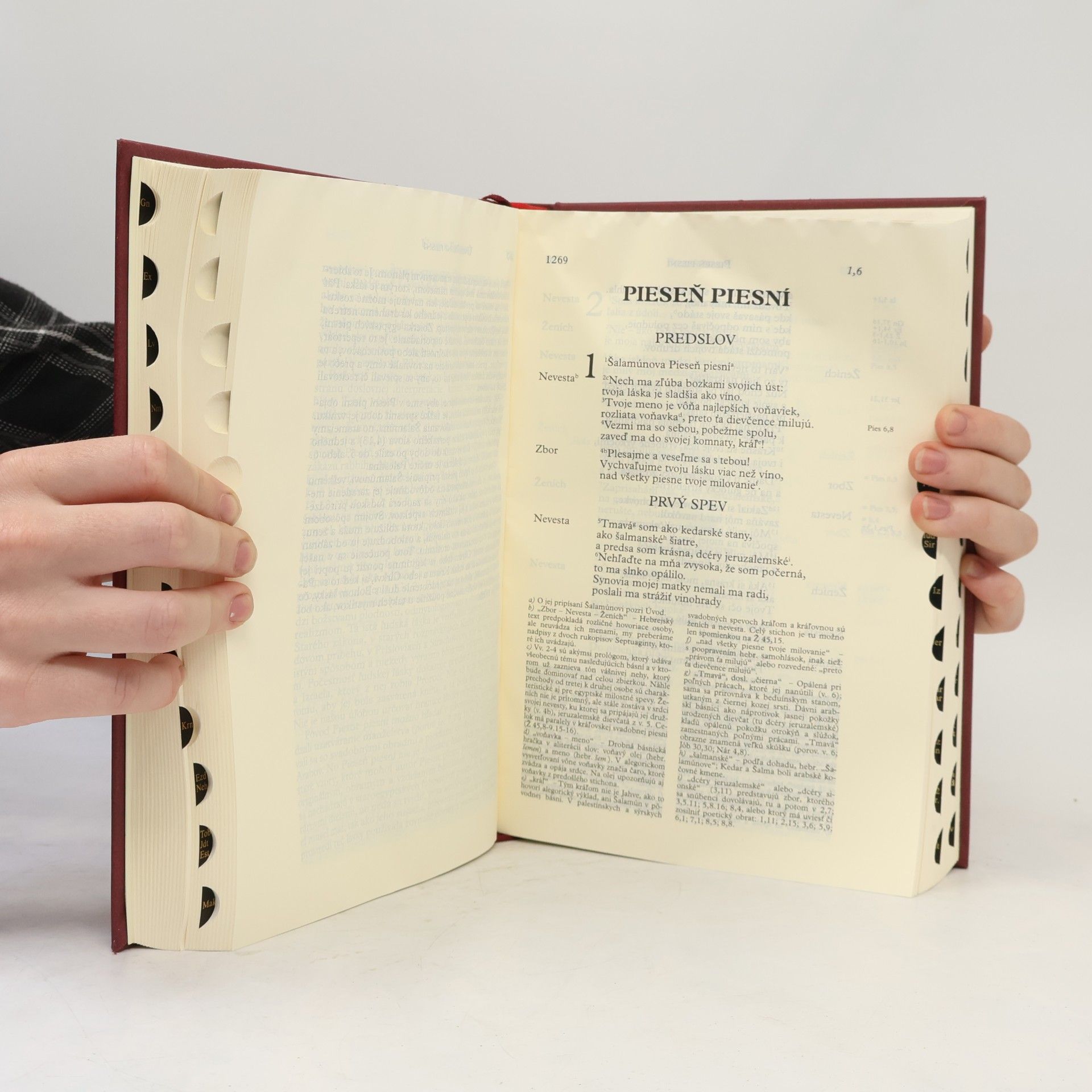 Various authors Sväté písmo – Jeruzalemská Biblia