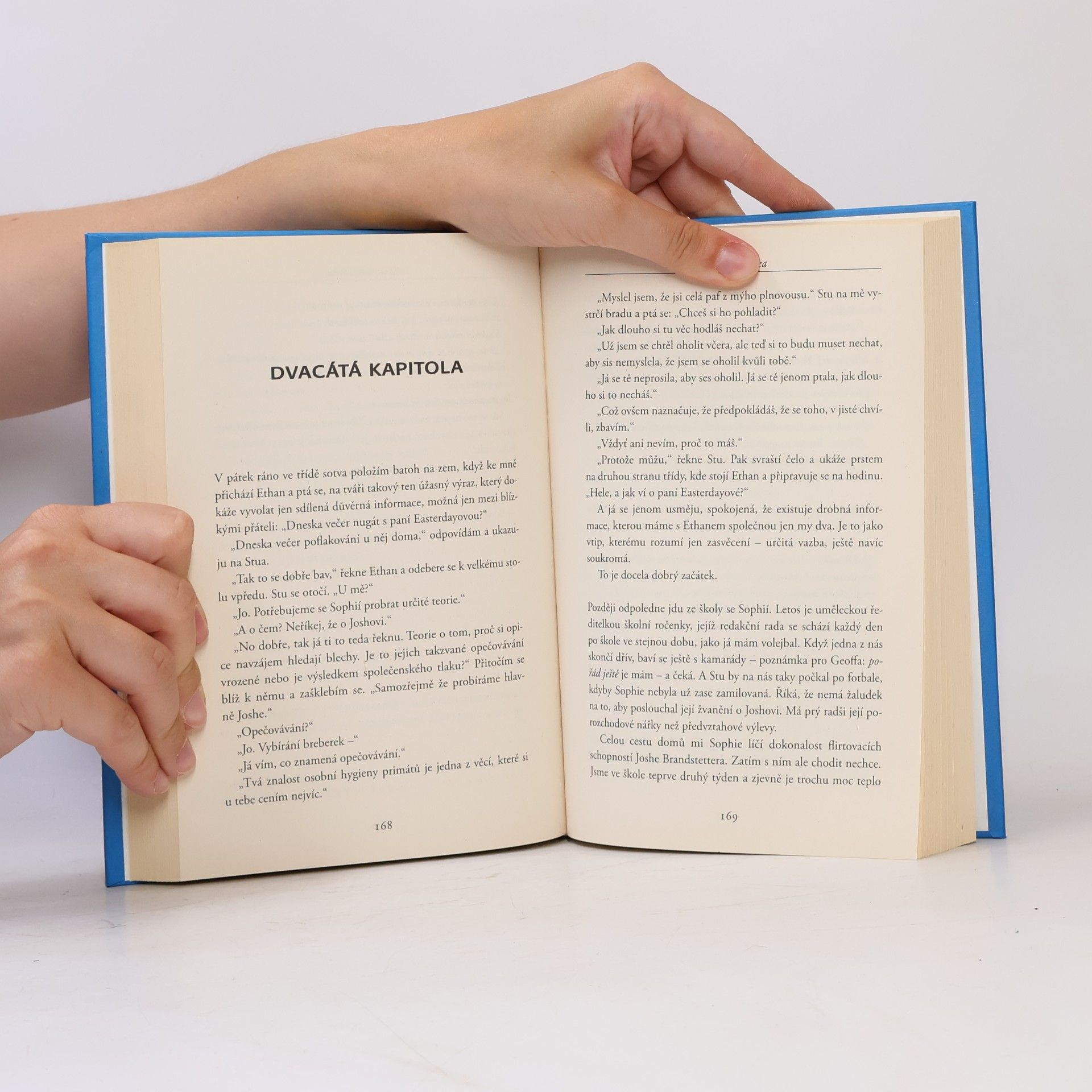 Erin McCahan Cizí slovo láska