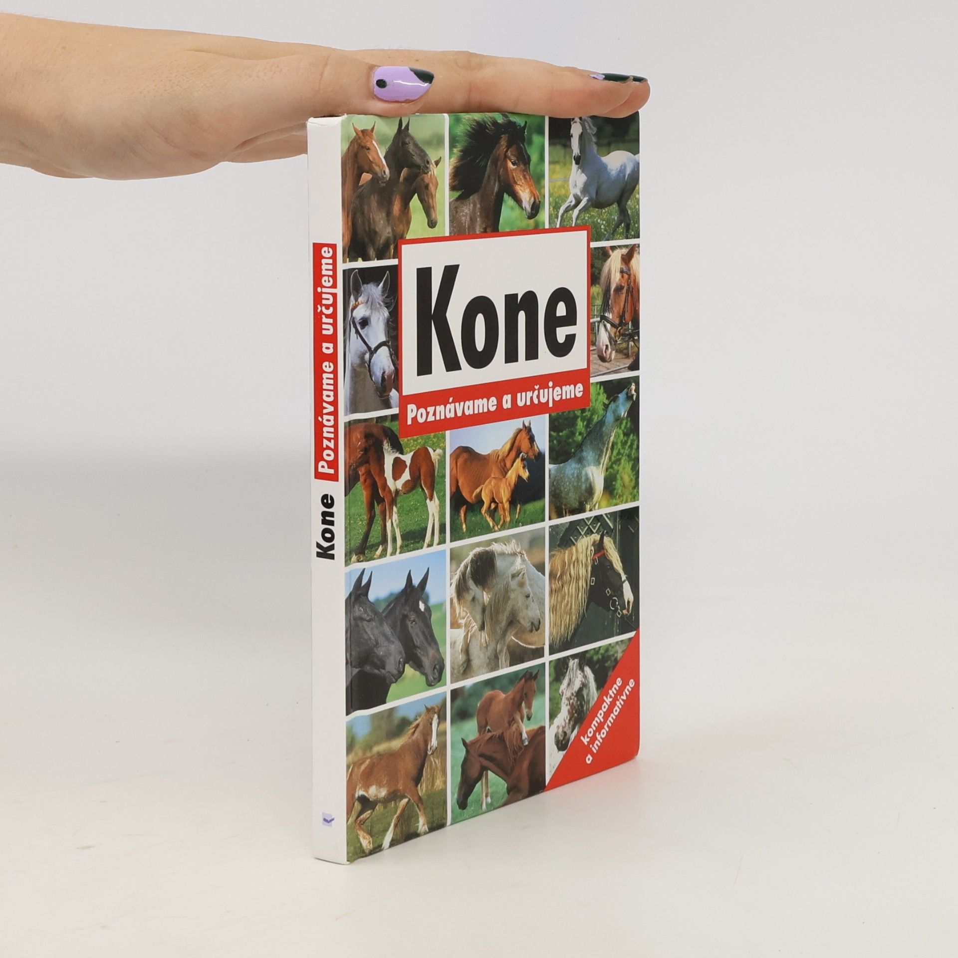 Autores varios Kone