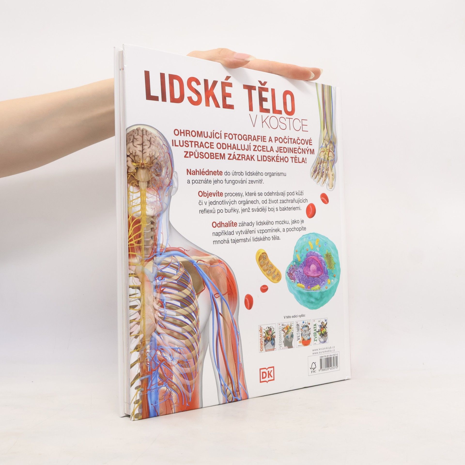 Lidské tělo v kostce