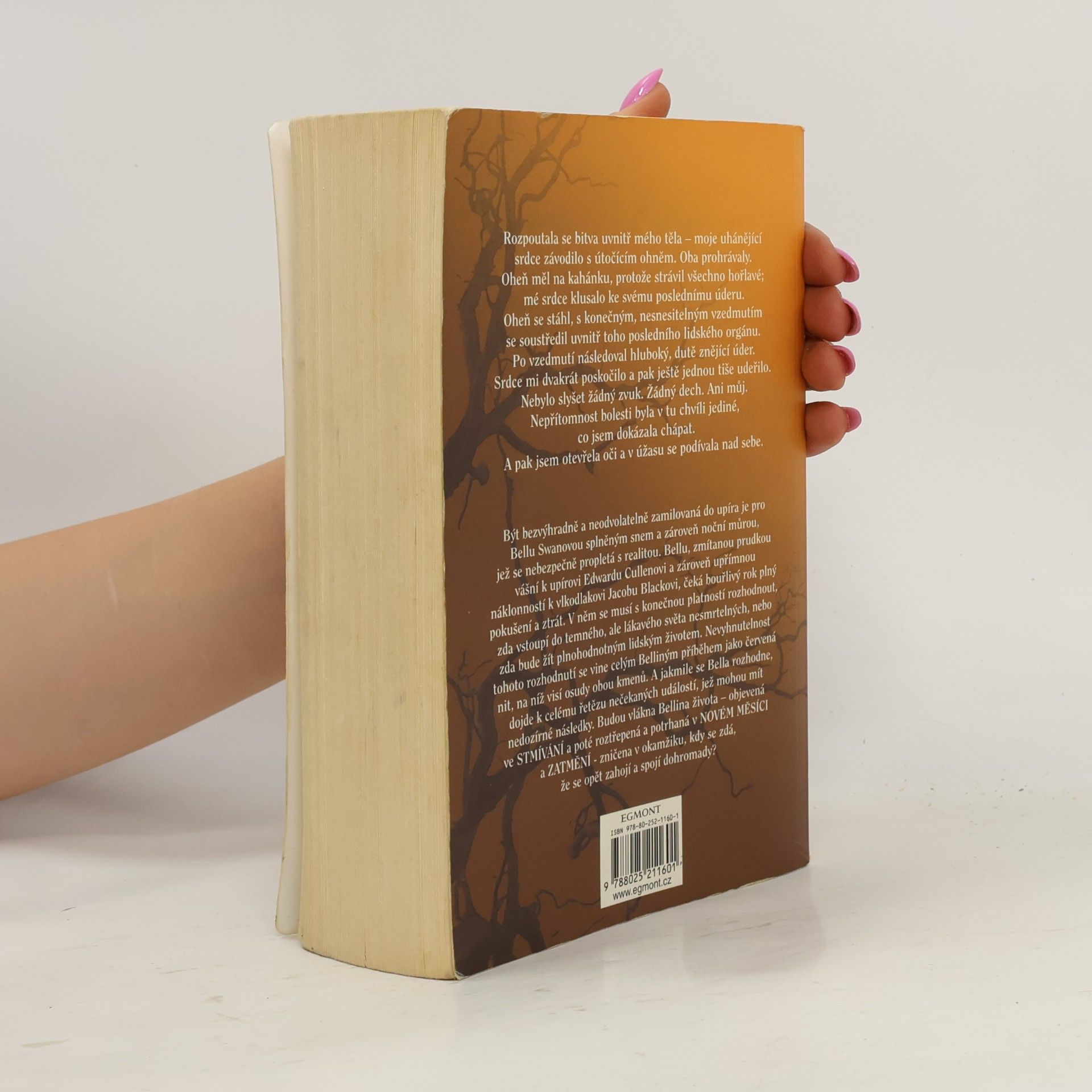 Stephenie Meyer Rozbřesk