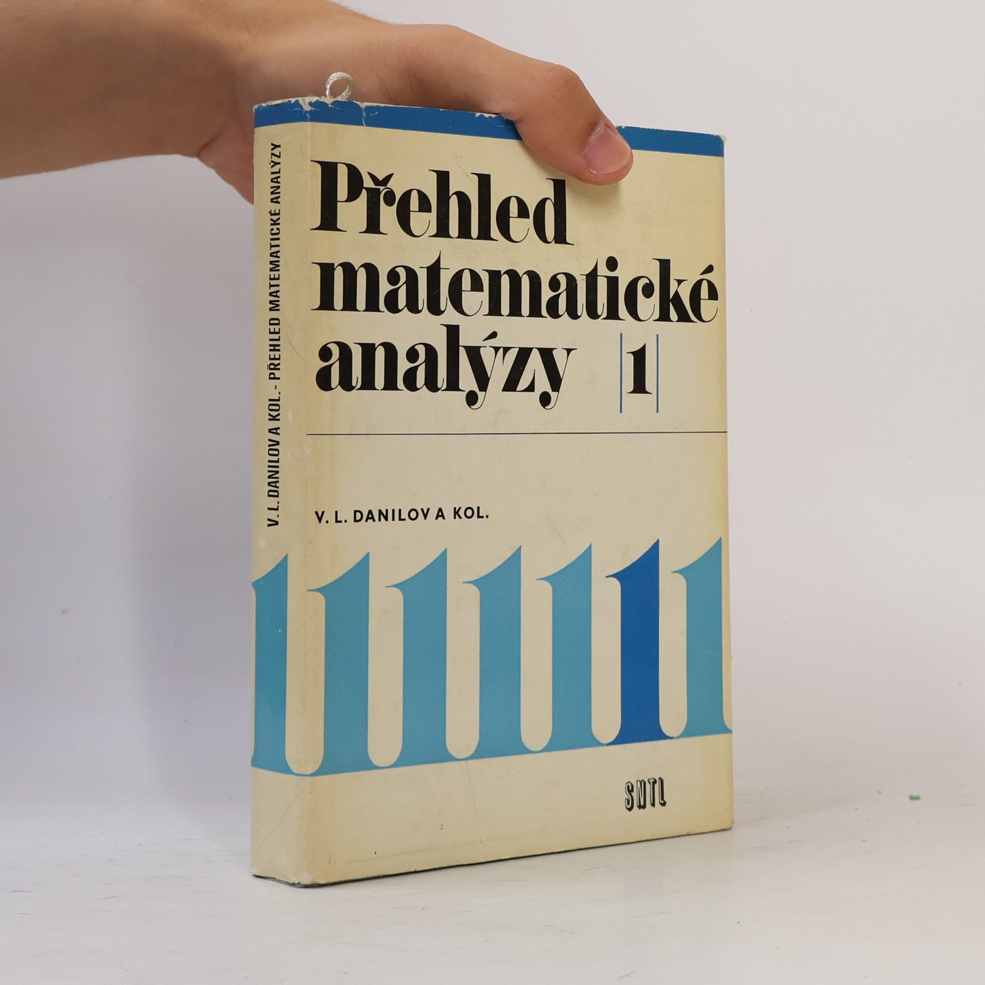 V. A. Danilov Přehled matematické analýzy 1