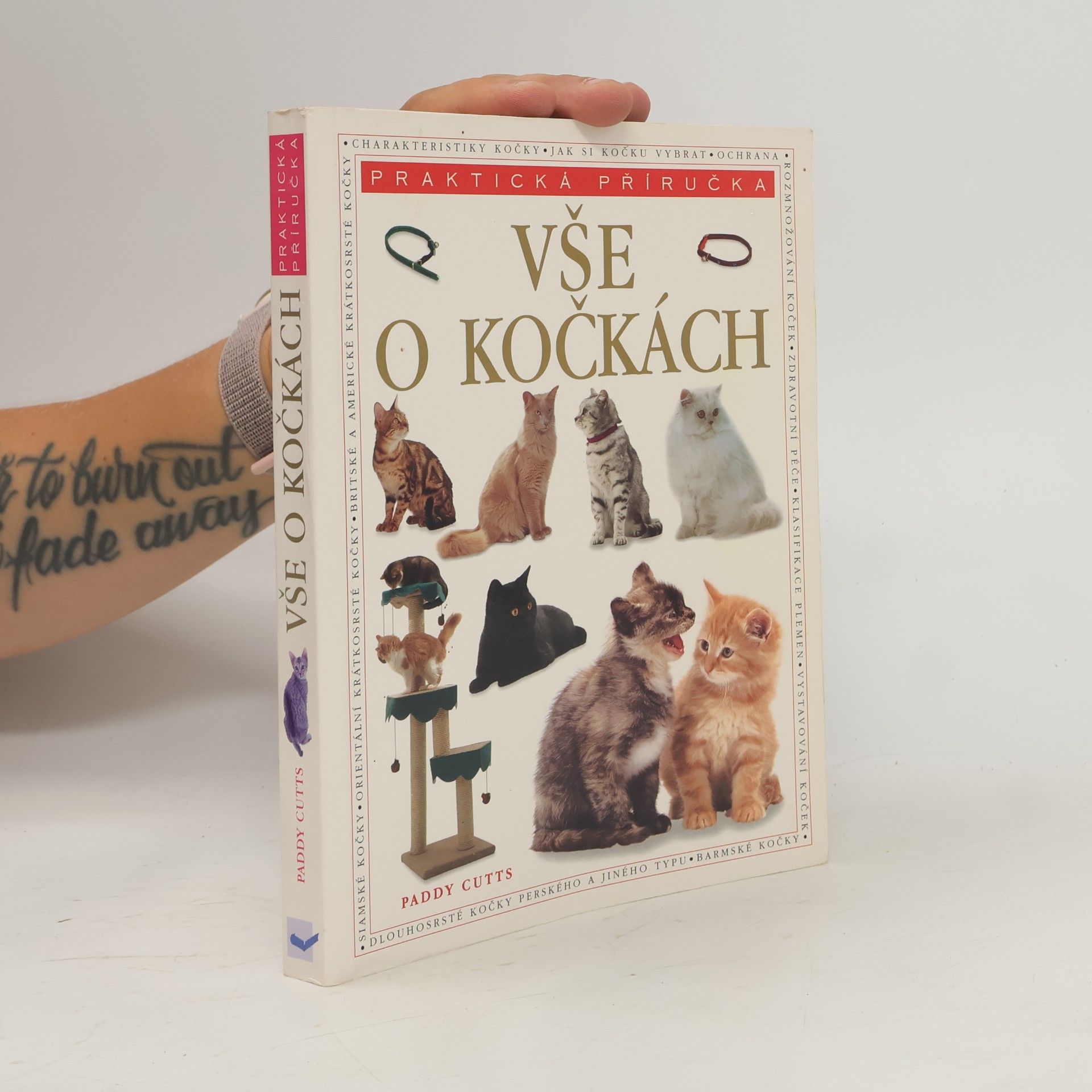 Paddy Cutts Vše o kočkách. Kompletní průvodce