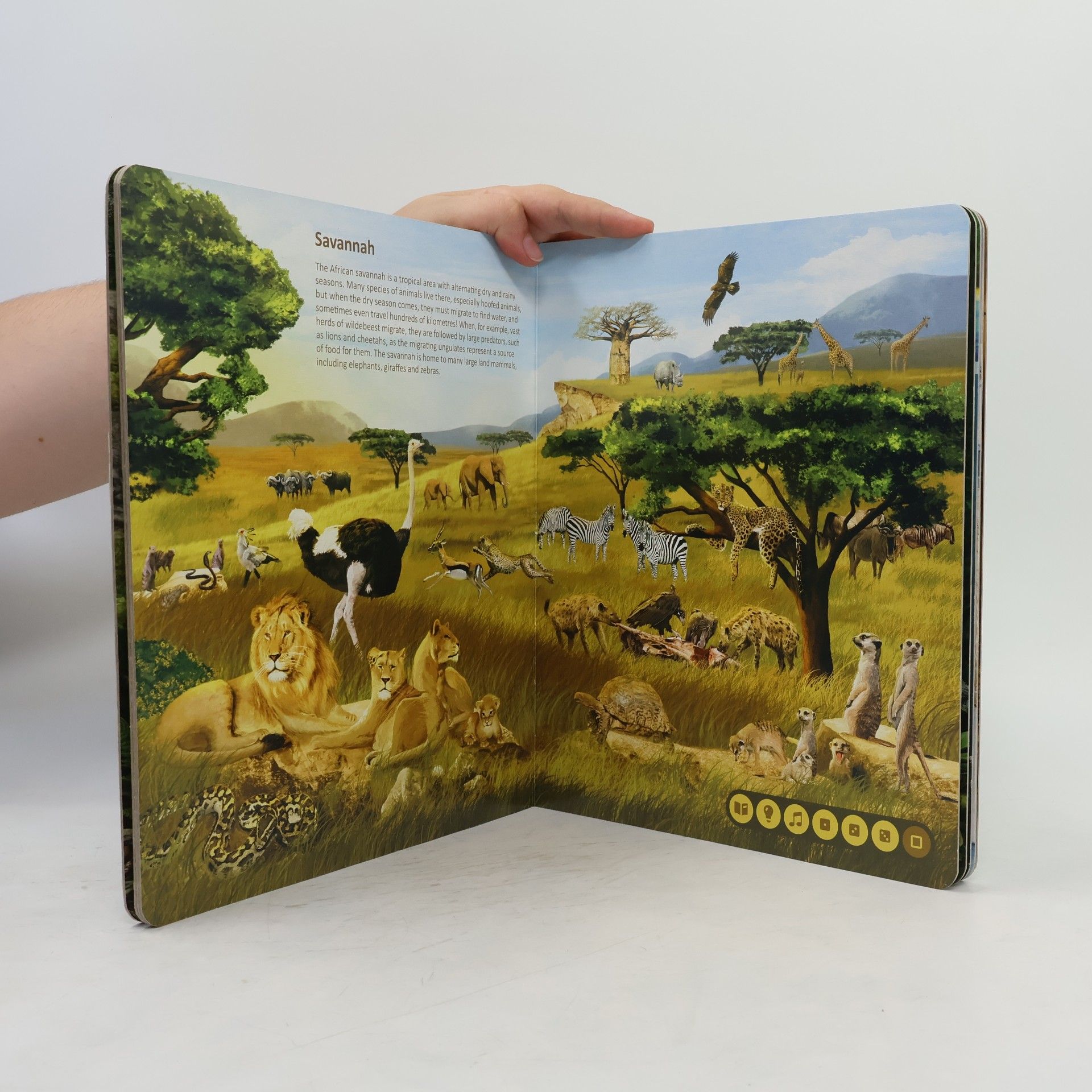 Various authors Animal kingdoms. Interactive talking book