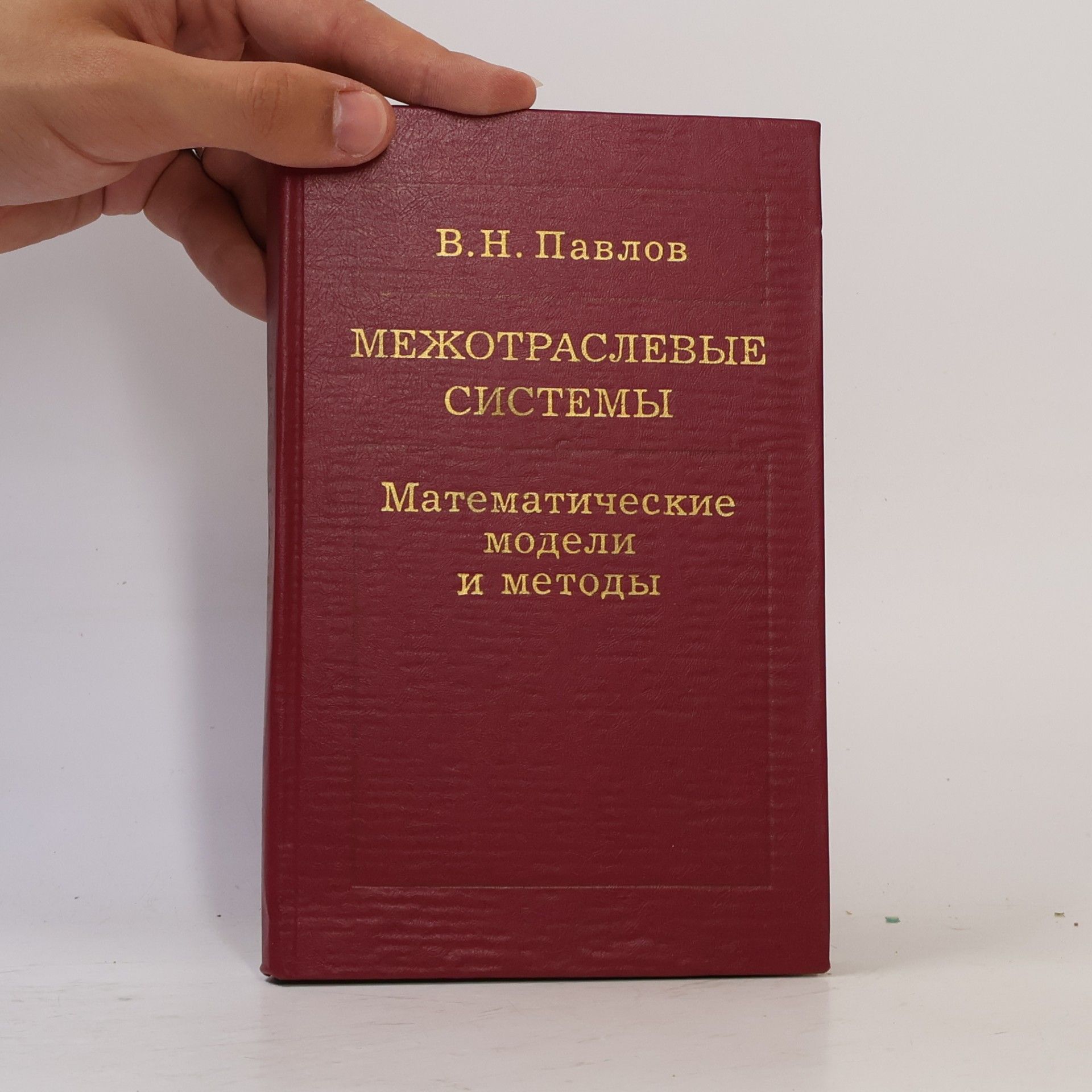 Viktor Nikolajevič Pavlov Межотраслевые системы