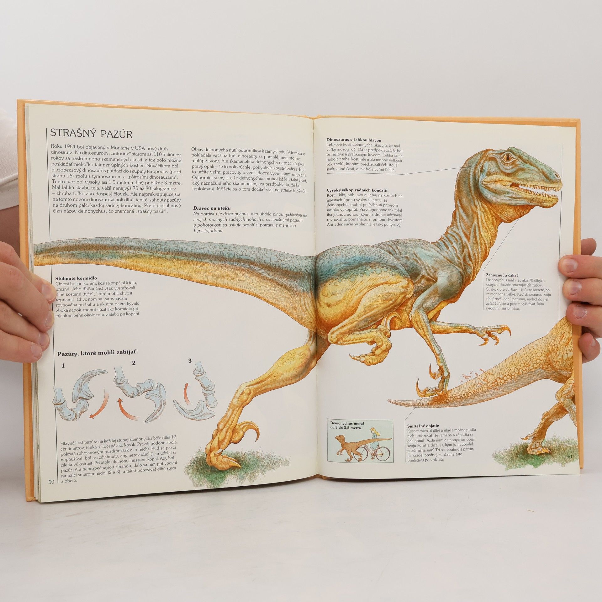 Steve Parker Jak žili dinosauři