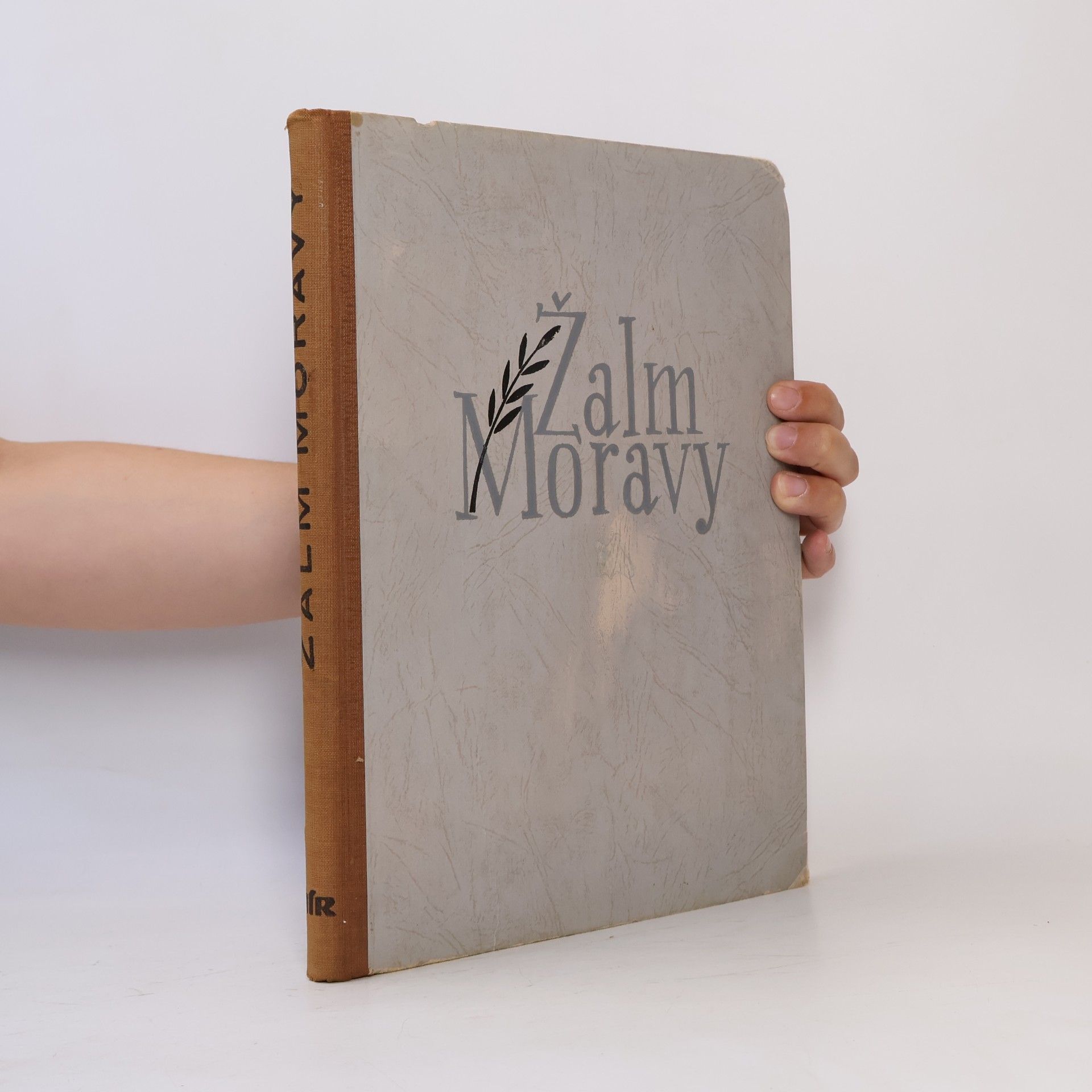 Zdeněk Minařík Žalm Moravy