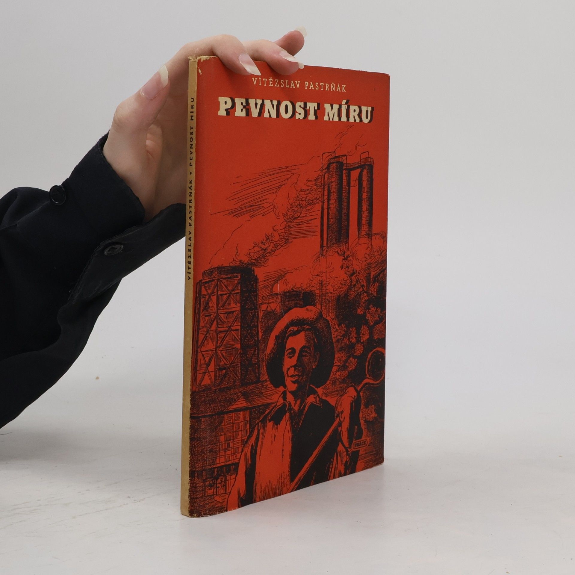 Vítězslav Pastrňák Pevnost míru