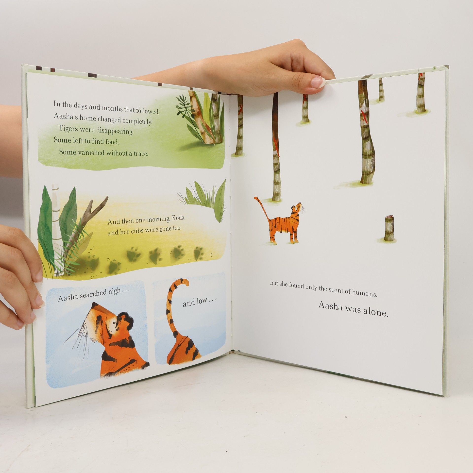 Becky Davies The Last Tiger