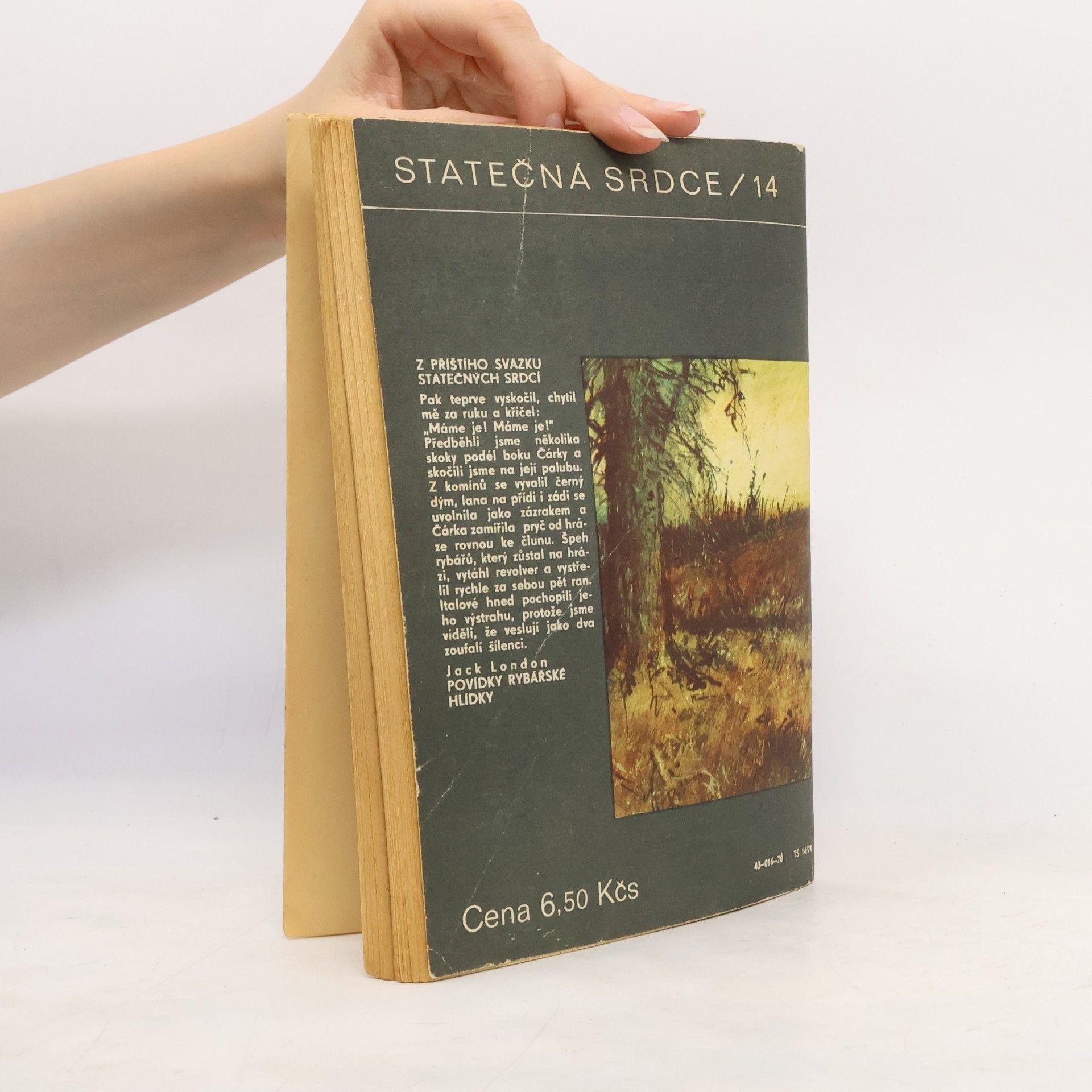 Eduard Fiker Statečná srdce/14. Tříoký jezdec