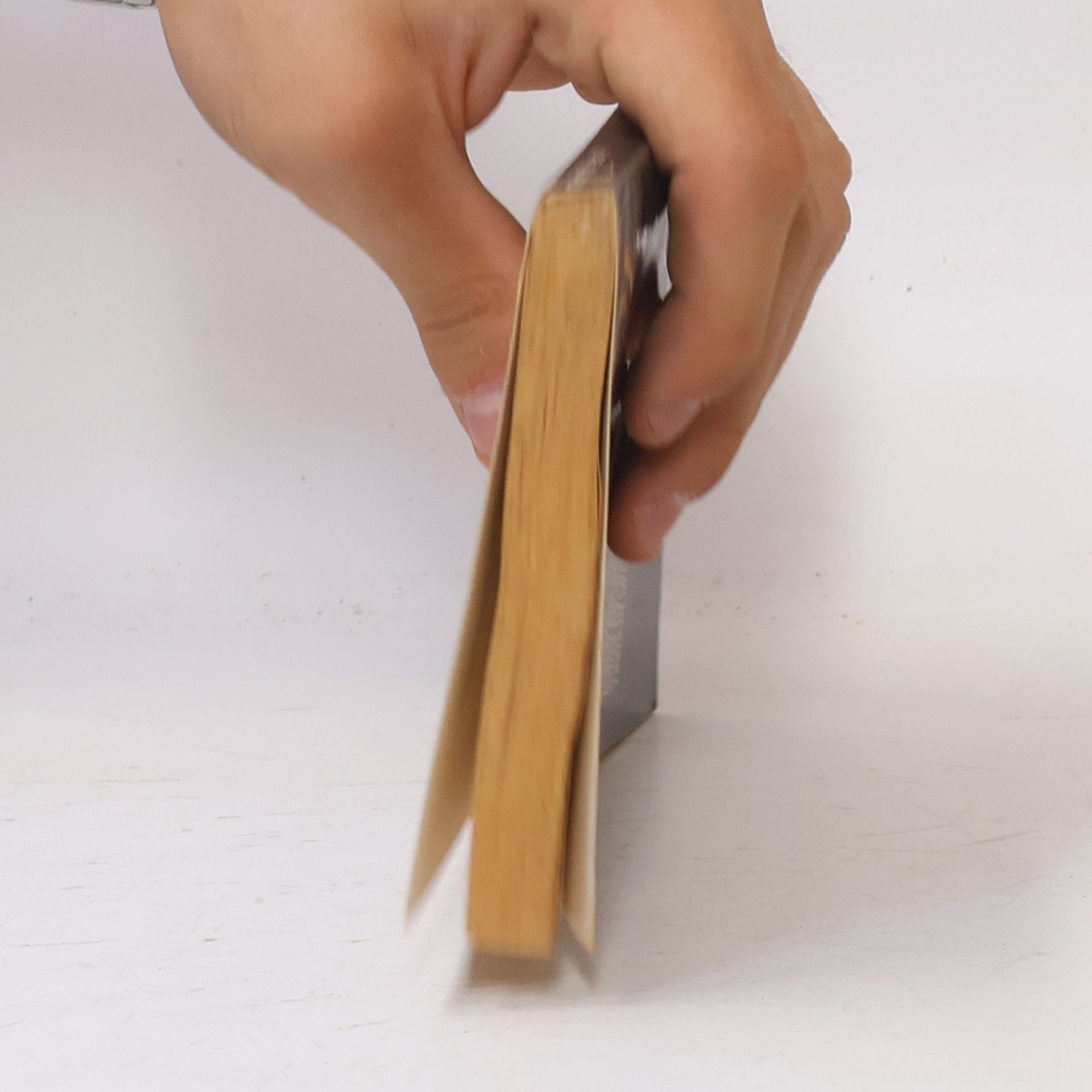 R. L. Stine Stopy hrůzy 12. Královna plesu