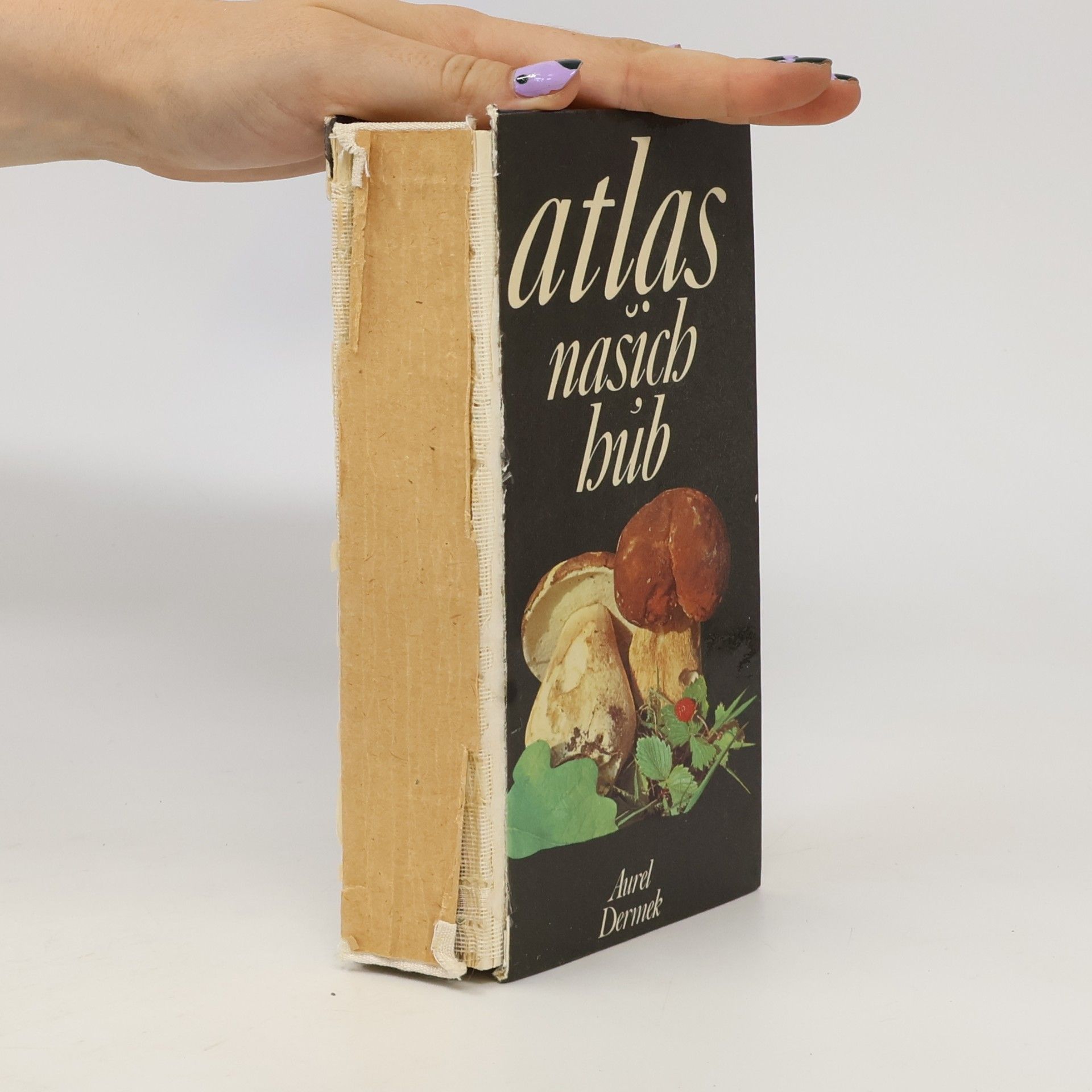 Aurel Dermek Atlas našich húb