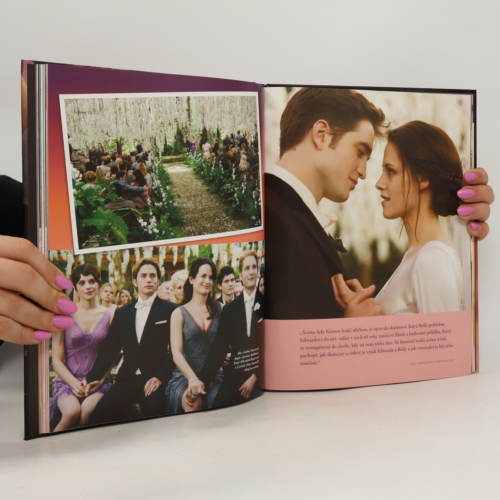 Mark Cotta Vaz Twilight sága. Rozbřesk. Oficiální ilustrovaný průvodce filmem