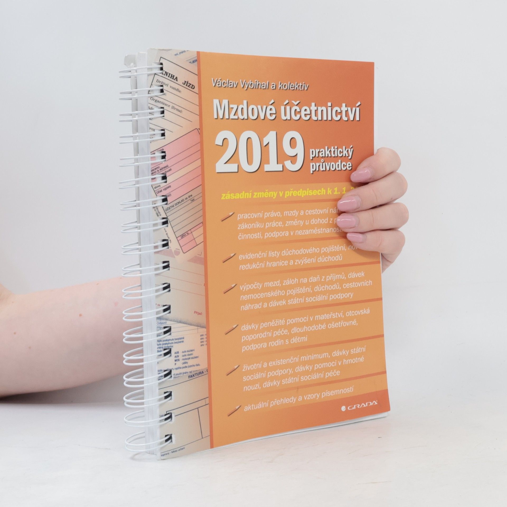 Václav Vybíhal Mzdové účetnictví 2019