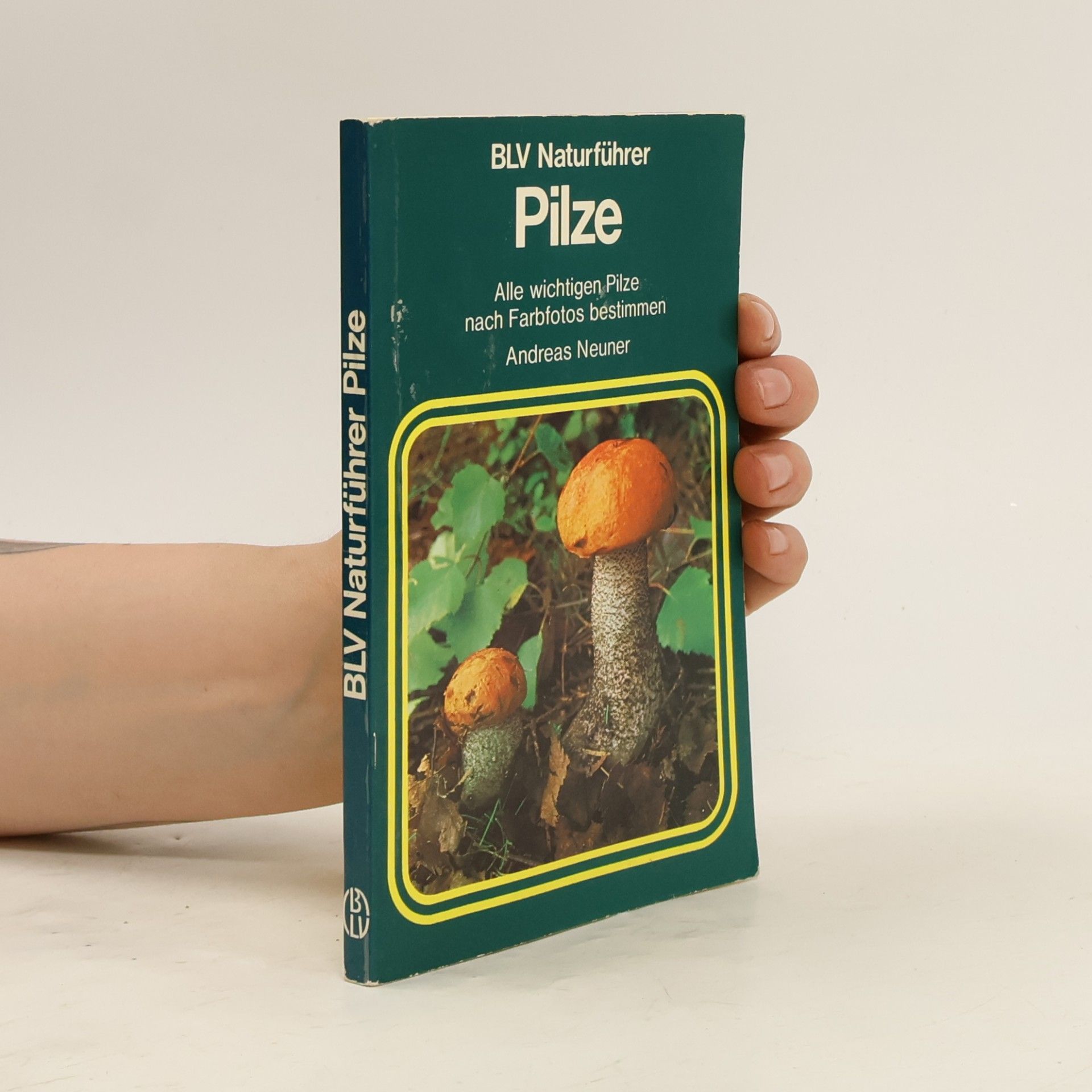 Andreas Neuner Pilze : Alle wichtigen Pilze nach Farbfotos bestimmen.